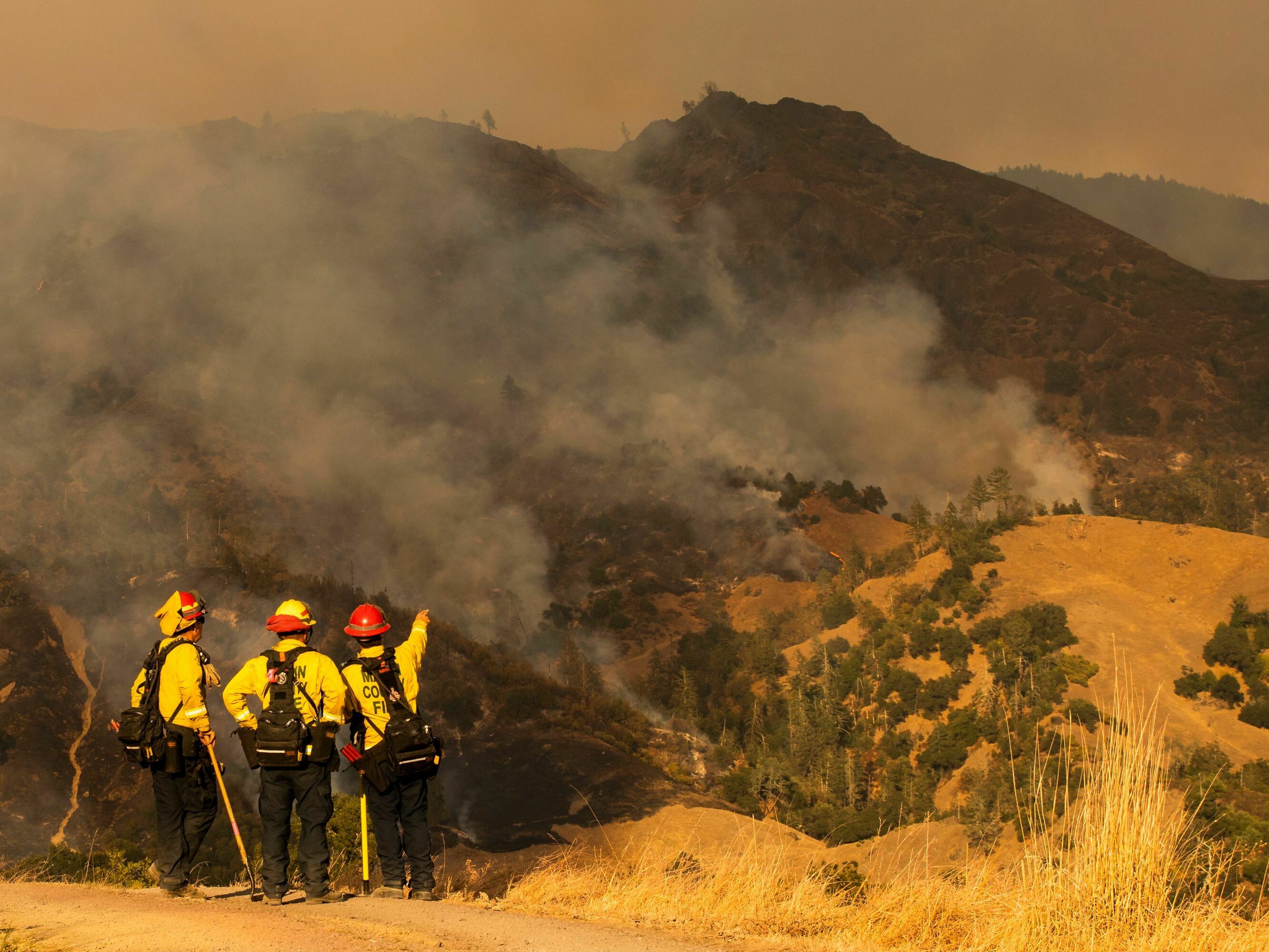 A known carcinogen is showing up in wildfire ash, and researchers are worried - Vimarsana News