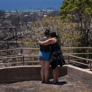 2023 was a tragic and bizarre year of wildfires. Will it mark a turning point?