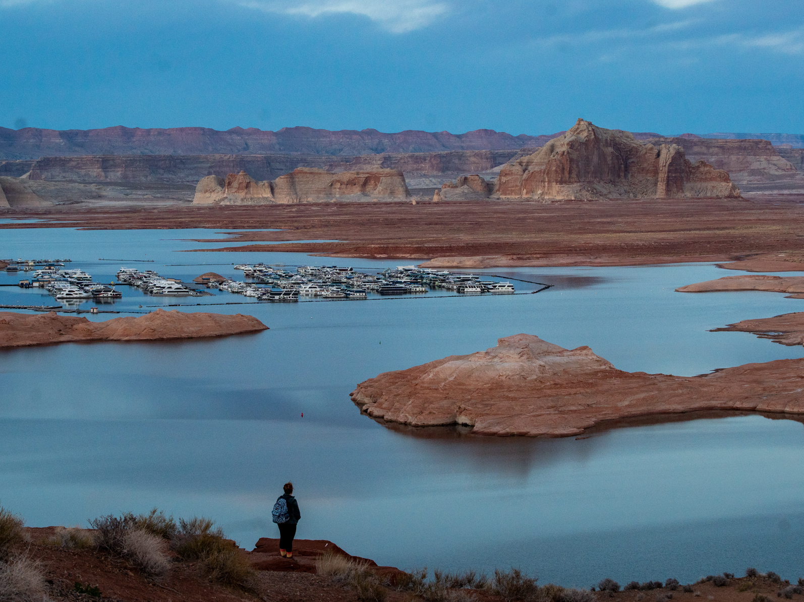 2023 in photos: NPR station photographers share memorable moments - Vimarsana News