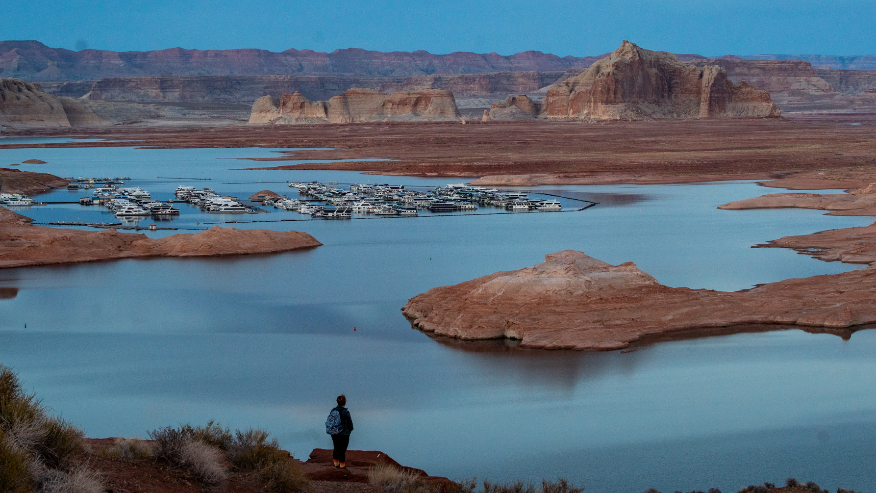 2023 in photos: NPR station photographers share memorable moments