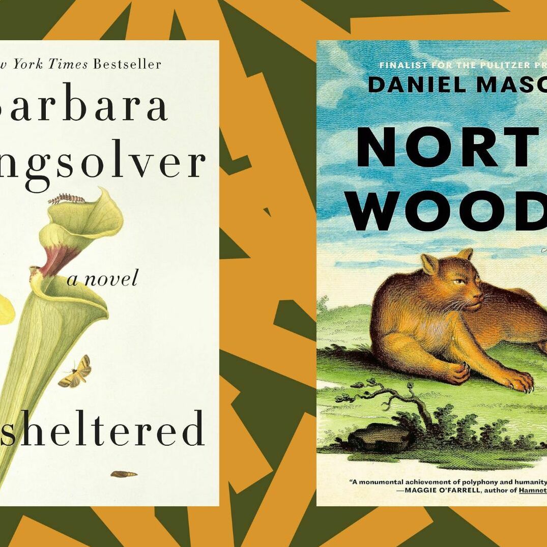 Novels by Barbara Kingsolver and Daniel Mason excavate history for new meanings