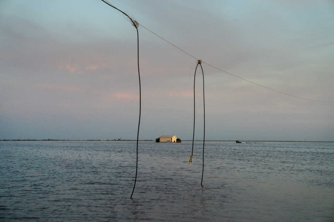 20230411 dsc0531 edit slide f5afc504ad6835256e89a0888347d788efd54735 s1100 c50