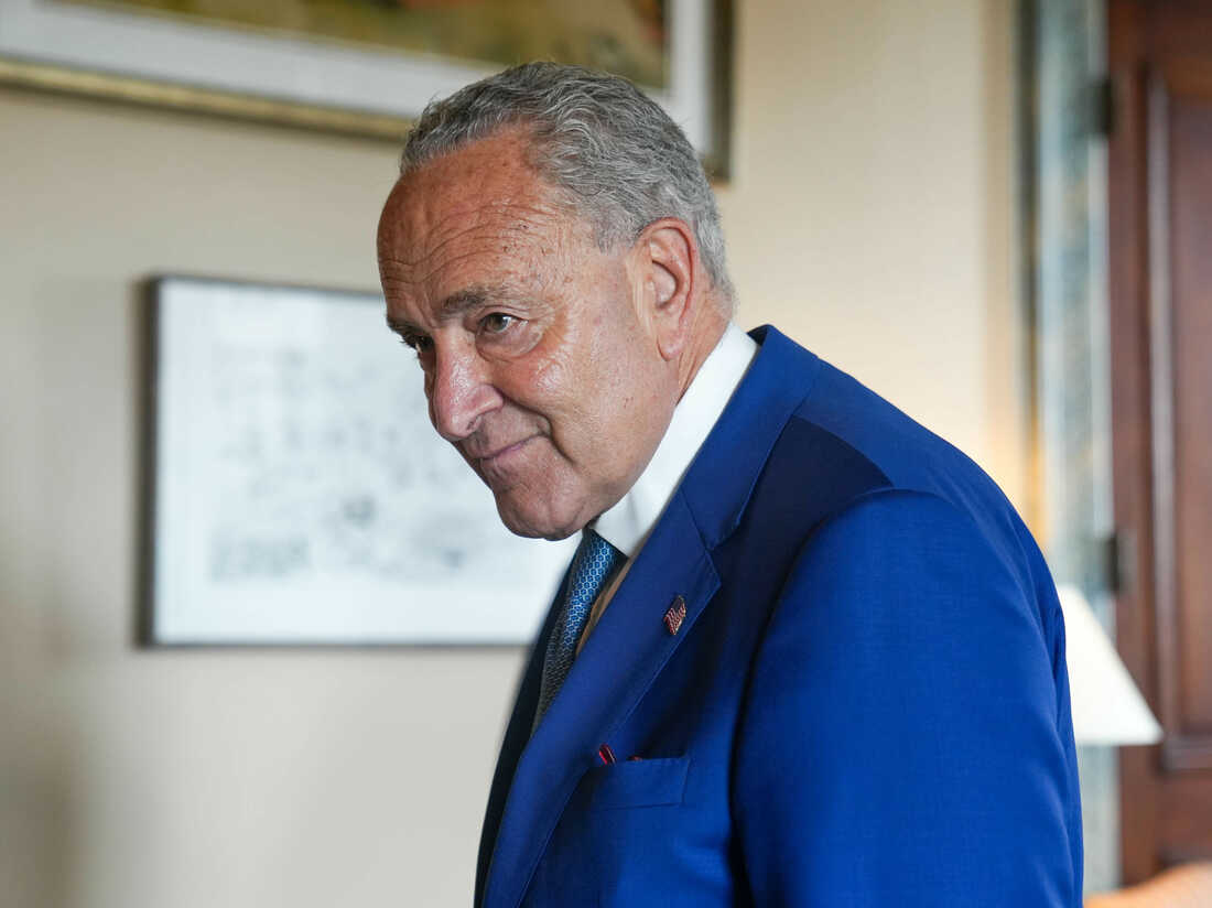 chuckschumerira kc 5 f0b9a9f6d356135858a72a95216476e71d177ce3 s1100 c50