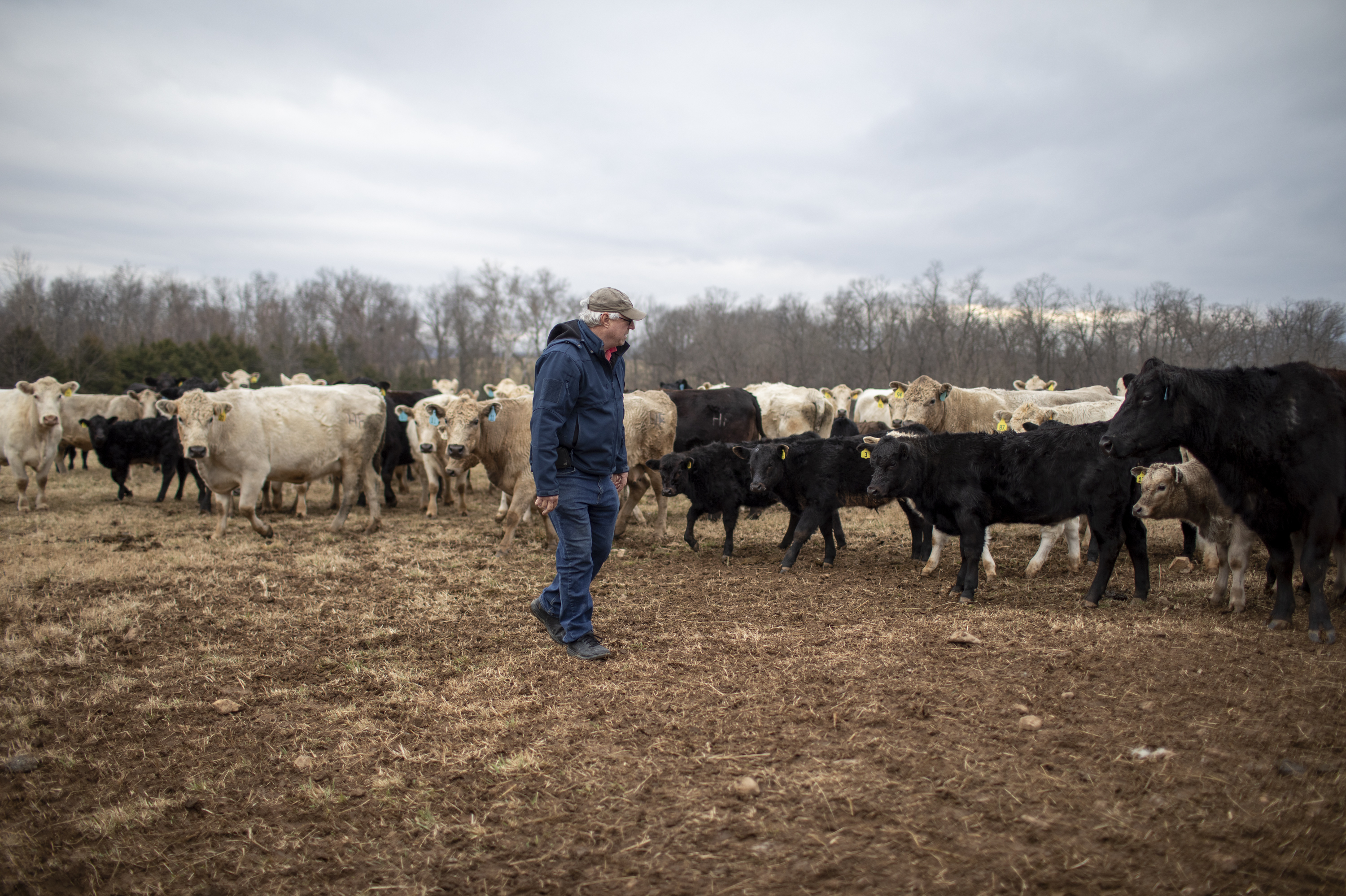 PAGE COUNTY, VA.: Roger Houser's family has worked the land in Virginia's Shenandoah Valley for three generations.  Houser was excited when a solar company offered to lease his land. But his hopes were dashed by a legal battle against development. See the story.