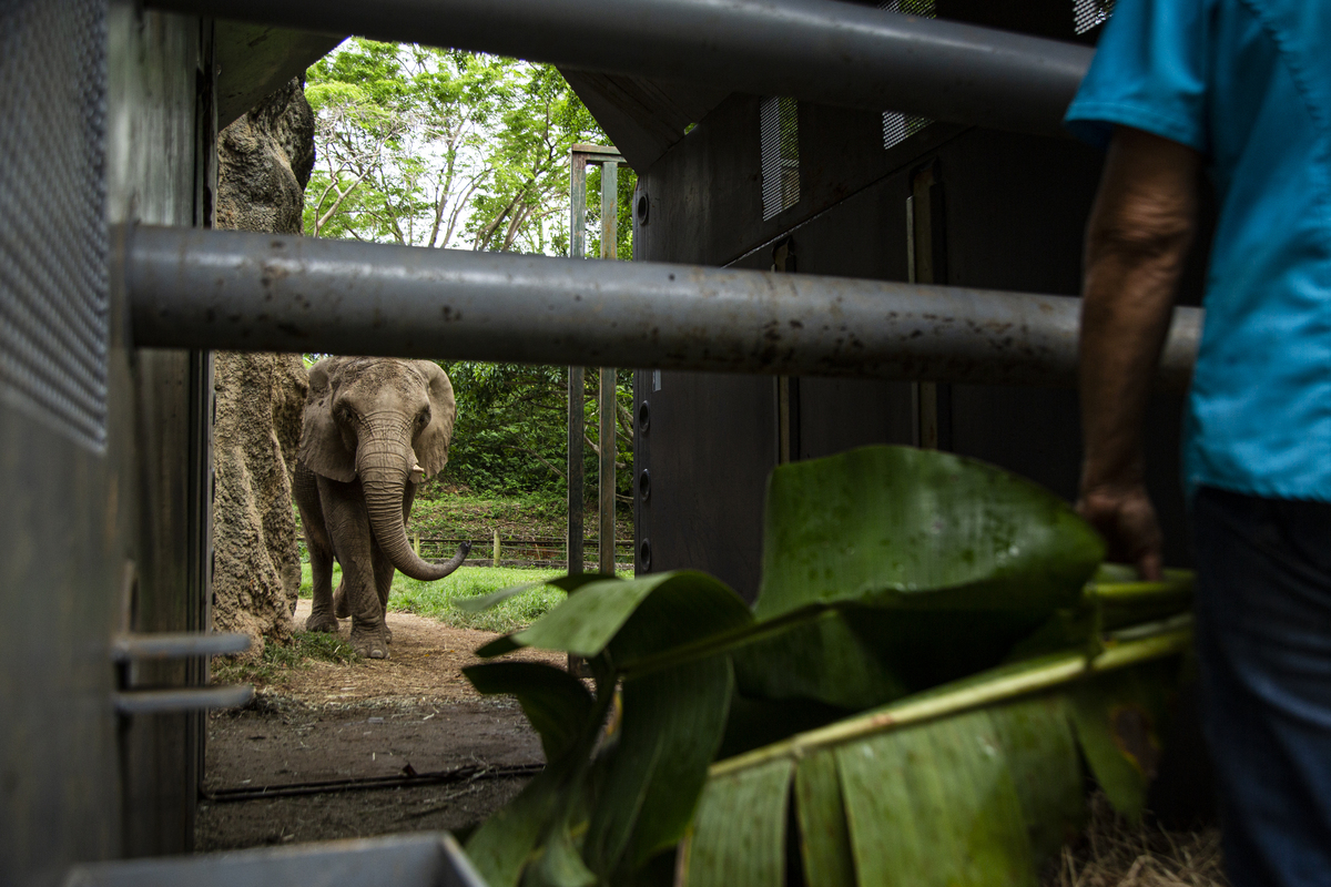 20230510 npr zoo mundi pr 025 custom 38cd5cd2eb863999e39dc0afa8815c06f9297ad7 s1200