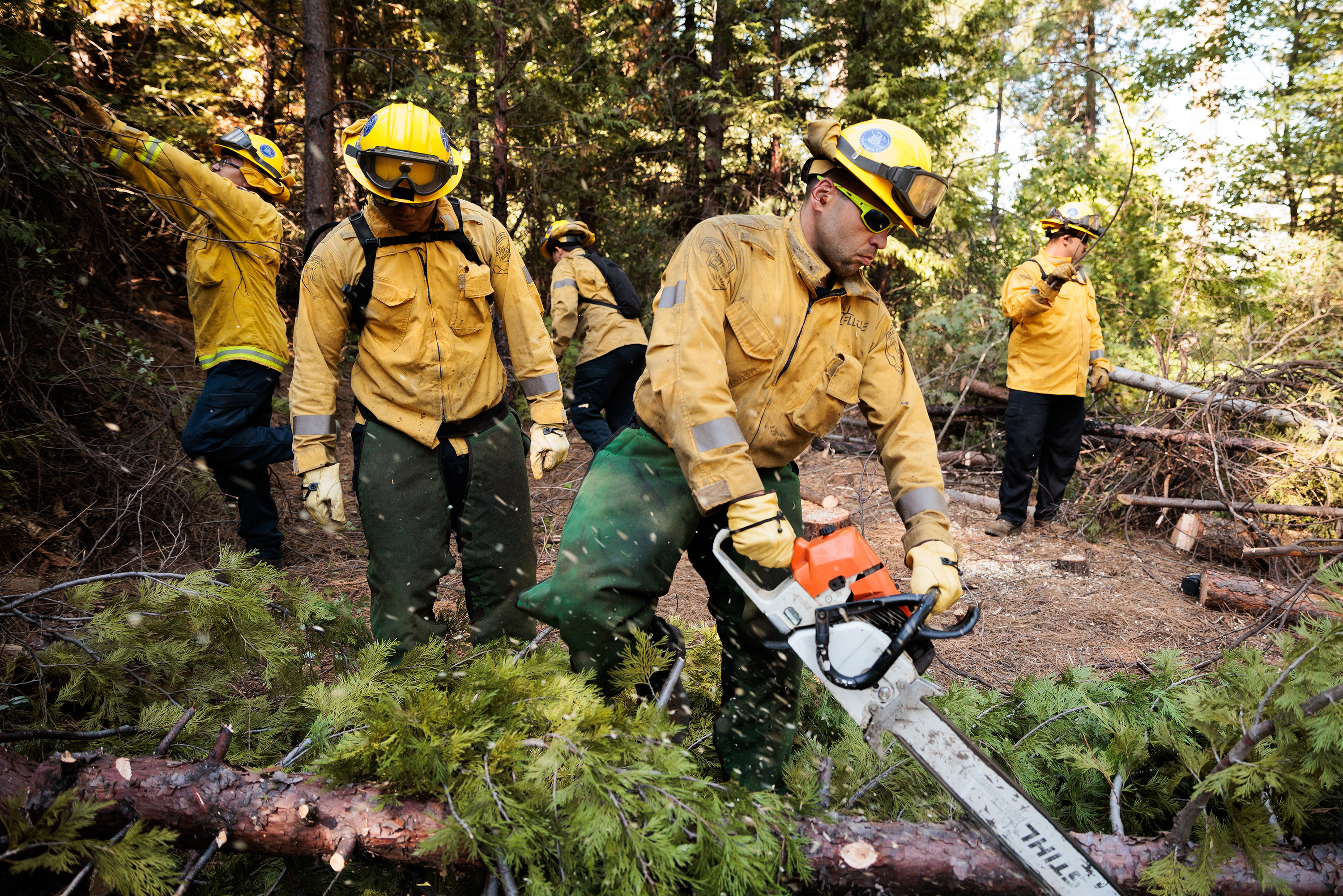 NEVADA CITY, CA: Members of the California National Guard's Task Force Rattlesnake clear brush and small trees to reduce the likelihood of a high-intensity wildfire on August 8, 2023. See the story.