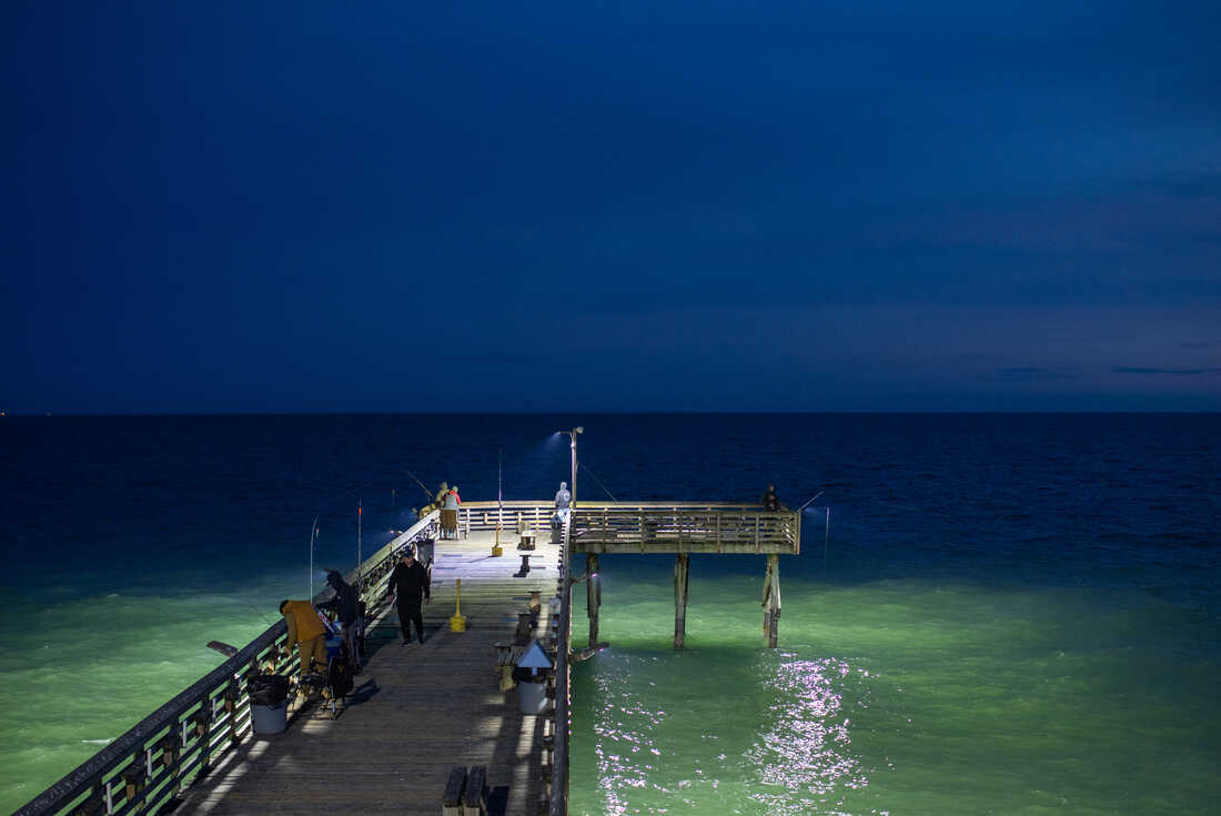 fishing2 custom 9d1f7de81c6c648d3542dae8b0d5be0f3d0350ad s1100 c50