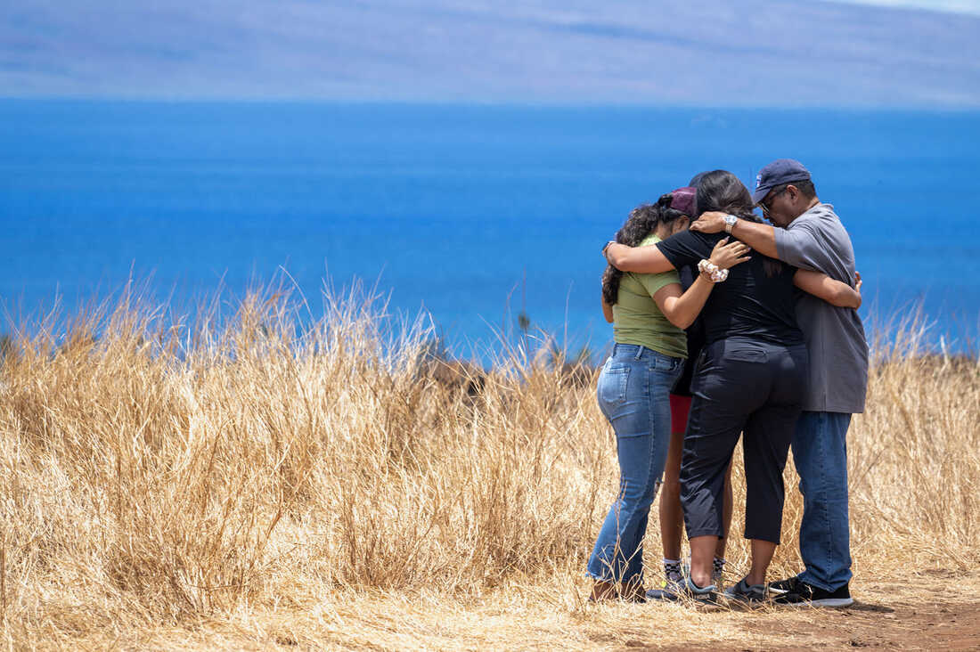 lahiana 21 custom dbc34c4bfa452d7771dcd89ba7e72ebd533f44b2 s1100 c50