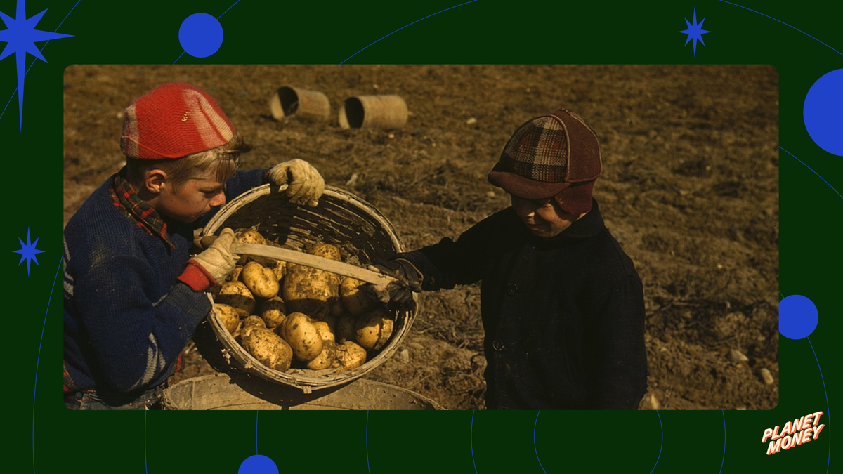 How the West waged a financial war to become the potato kings 