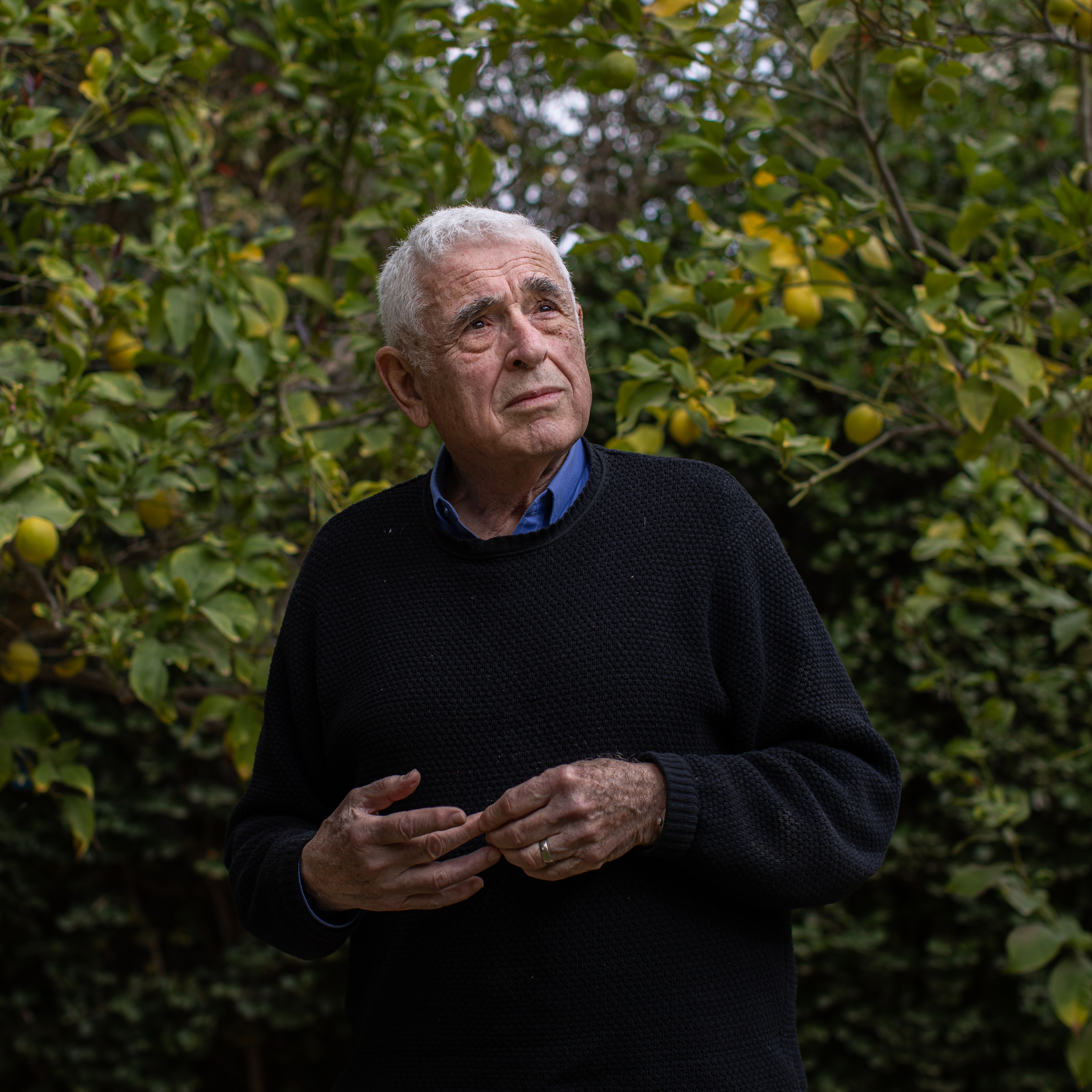 What a bereaved father, a historian of Israel, believes after 100 days of war - Vimarsana News
