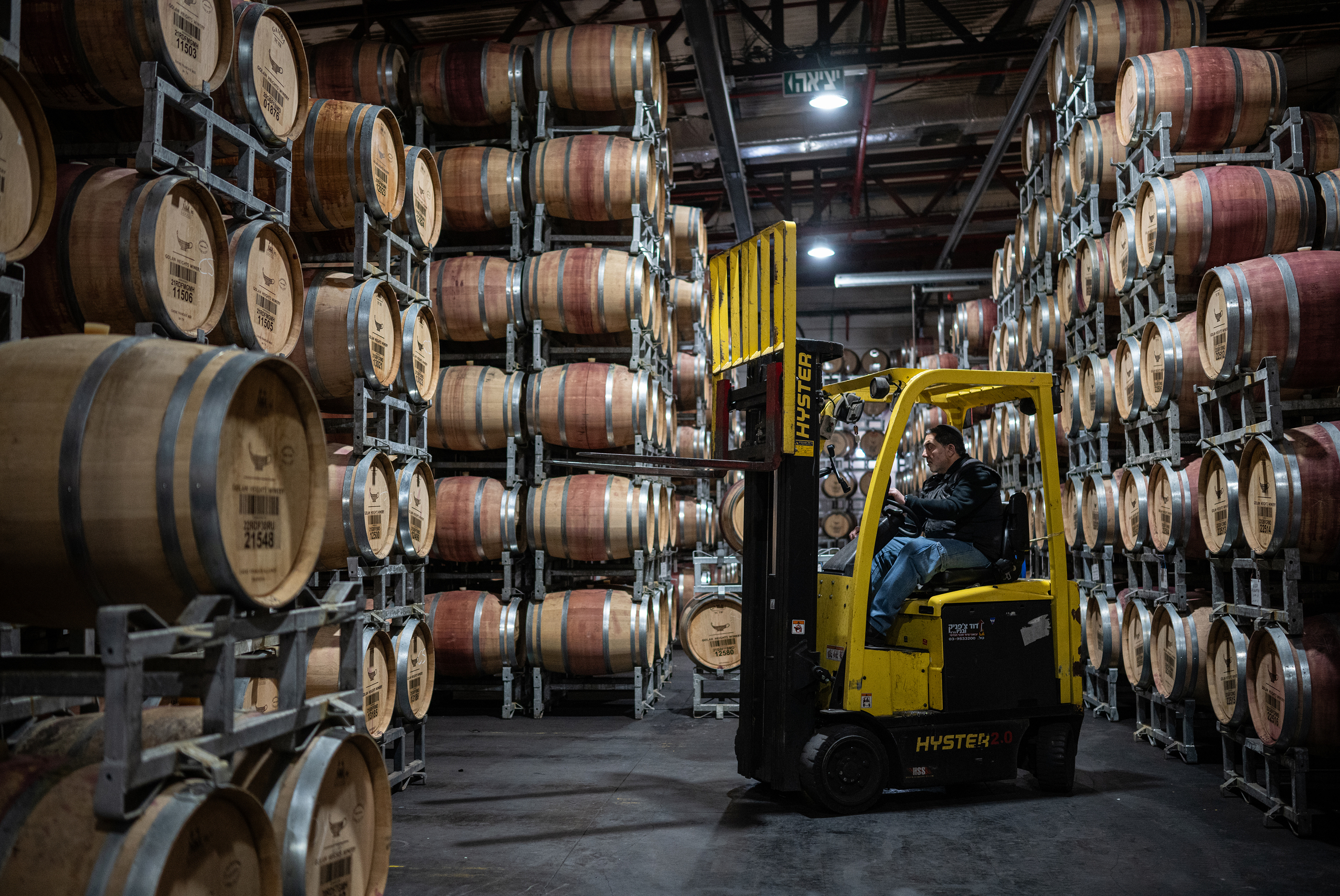 An employee places newly filled barrels of cabernet sauvignon wine, made from the 2023 harvest, on racks to age in a cellar at the Golan Heights Winery in Katzrin, the Golan Heights.