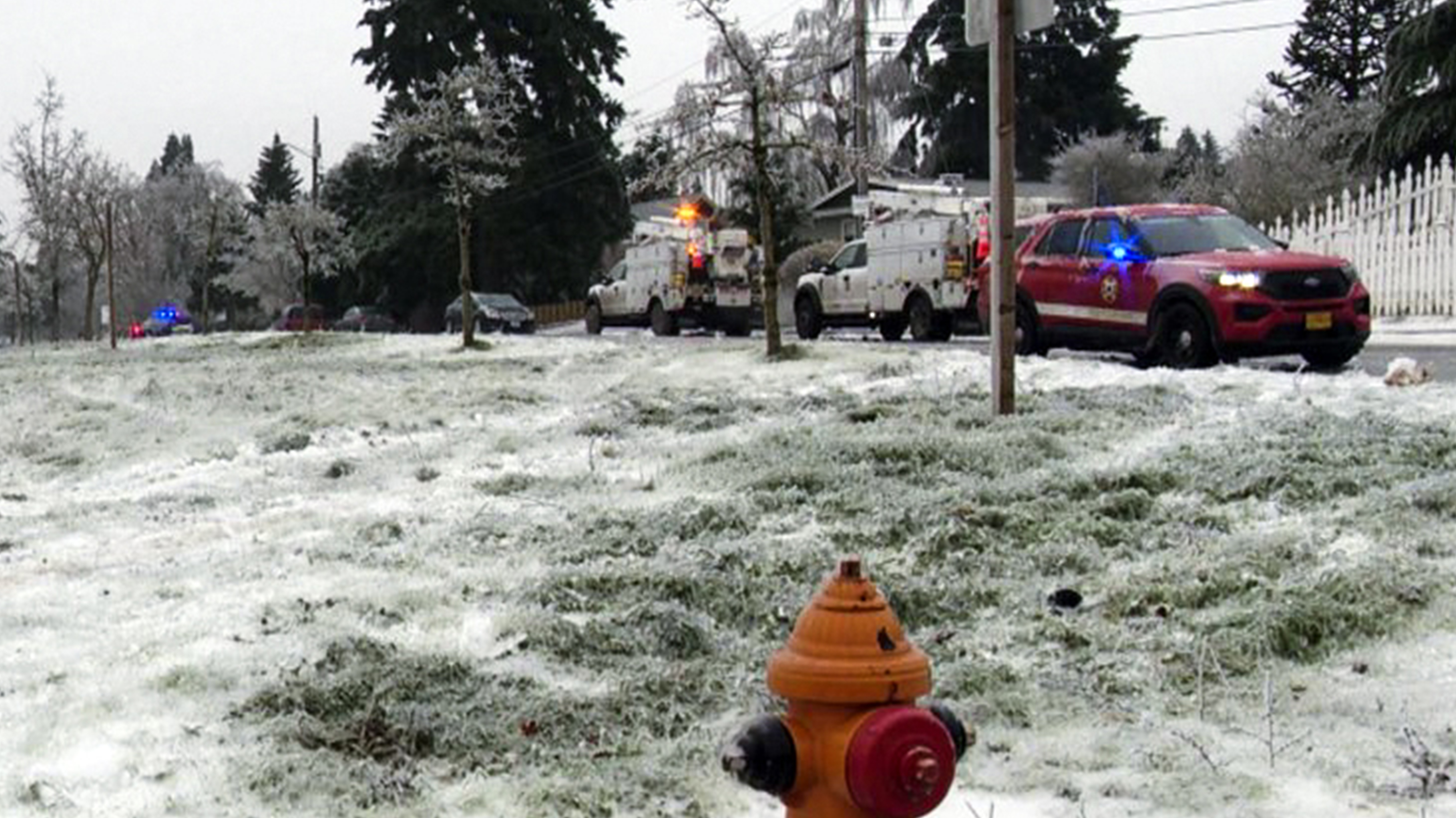 Power line falls on car during Oregon ice storm, killing 3, authorities say