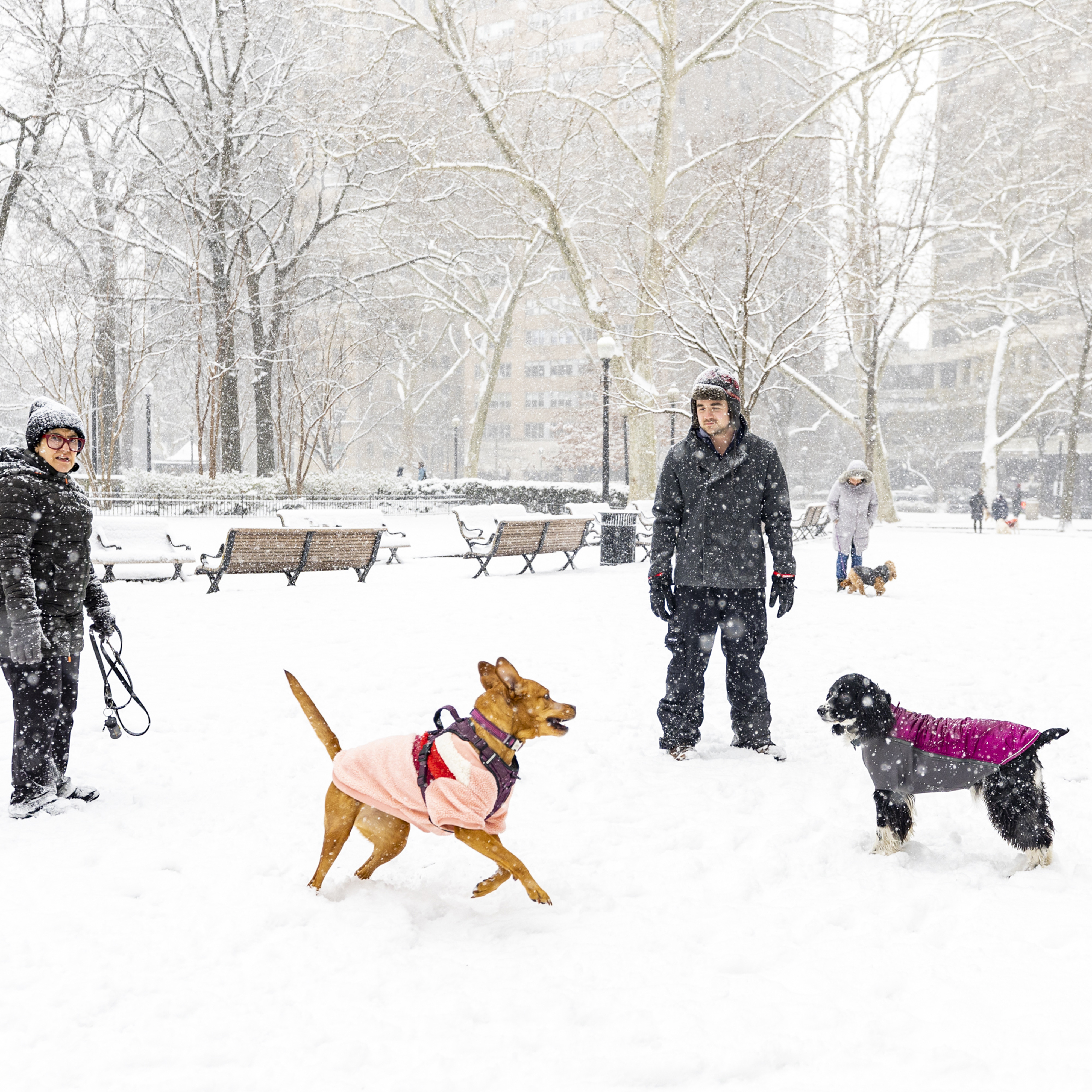 Much of the U.S. is still in the grip of icy weather that is blamed for 67 deaths - Vimarsana News