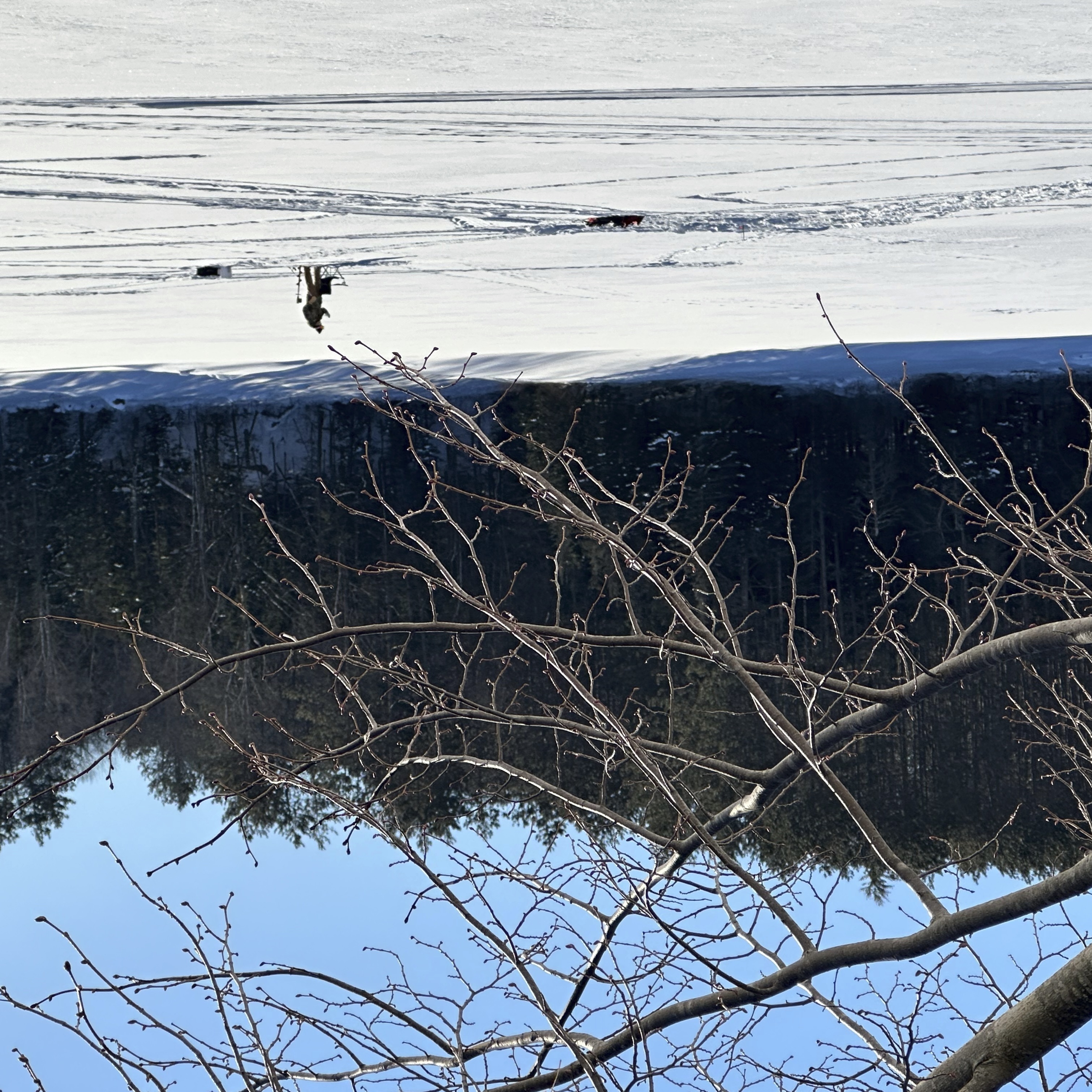 Much of the U.S. is still in the grip of icy weather that is blamed for 69 deaths - Vimarsana News