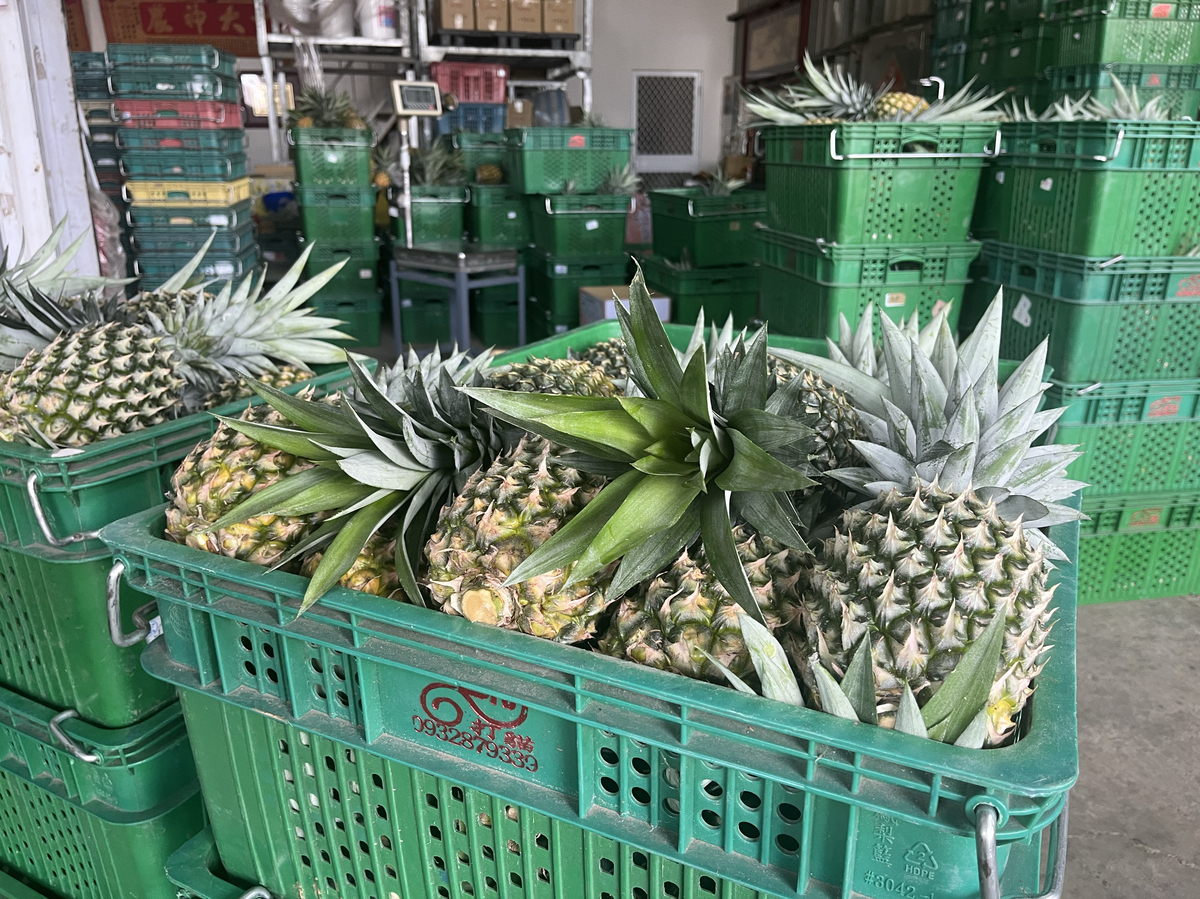 China-Taiwan tensions sour further over new type of pineapple 