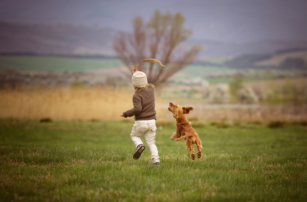 Kids who have dogs get a boost in physical activity - especially young girls.