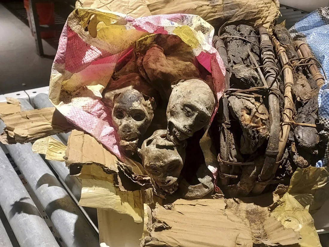 Mummified Monkey Remains on Airport Conveyor Belt