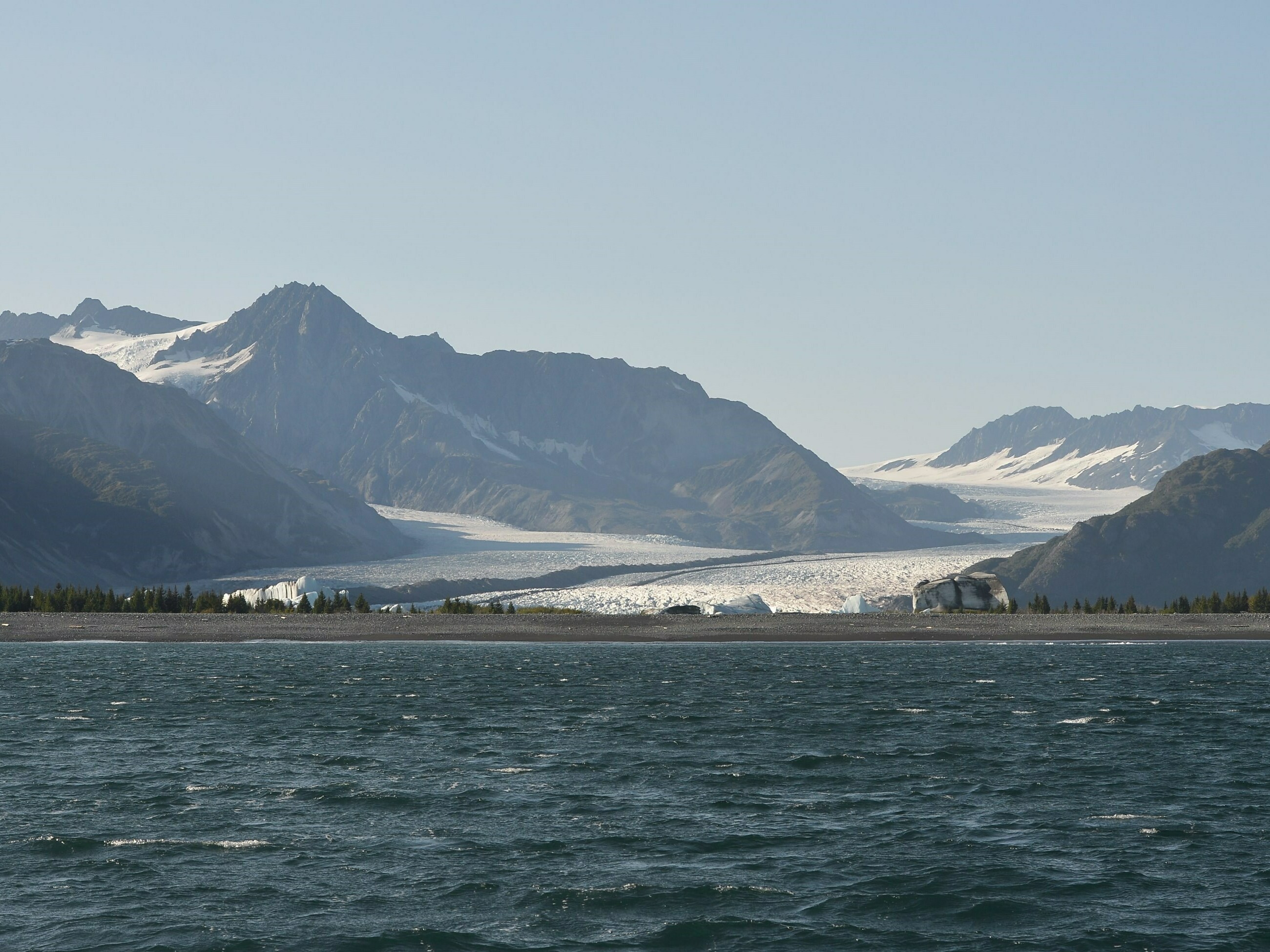 A man died from Alaskapox last month. Here's what we know about the virus - Vimarsana News