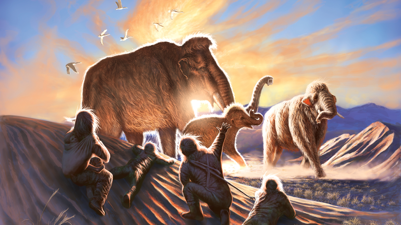 Elma's journey through Alaska reveals how humans and mammoths crossed paths : Short Wave : NPR - Vimarsana News
