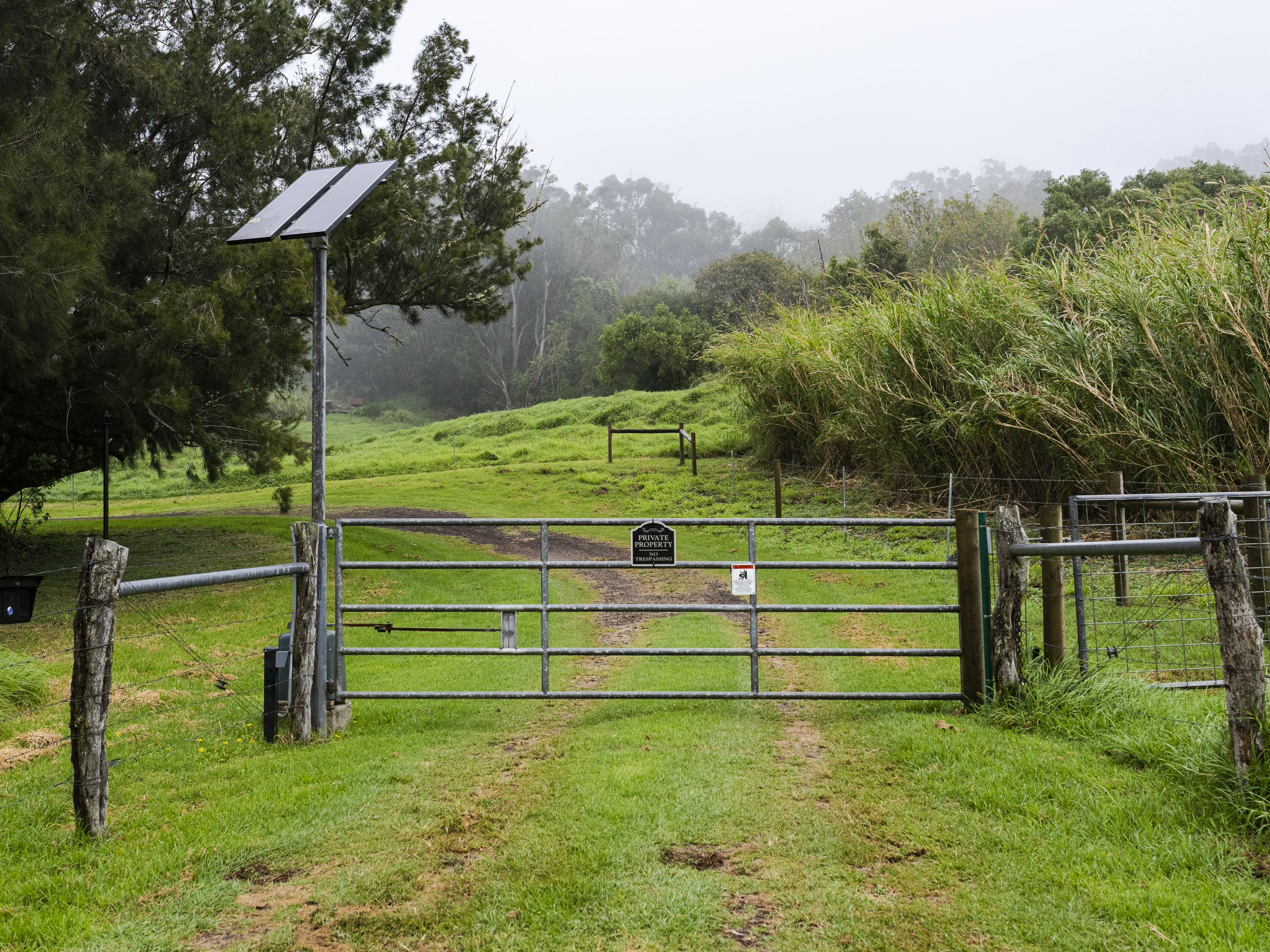 A tech billionaire is quietly buying up land in Hawaii. No one knows why