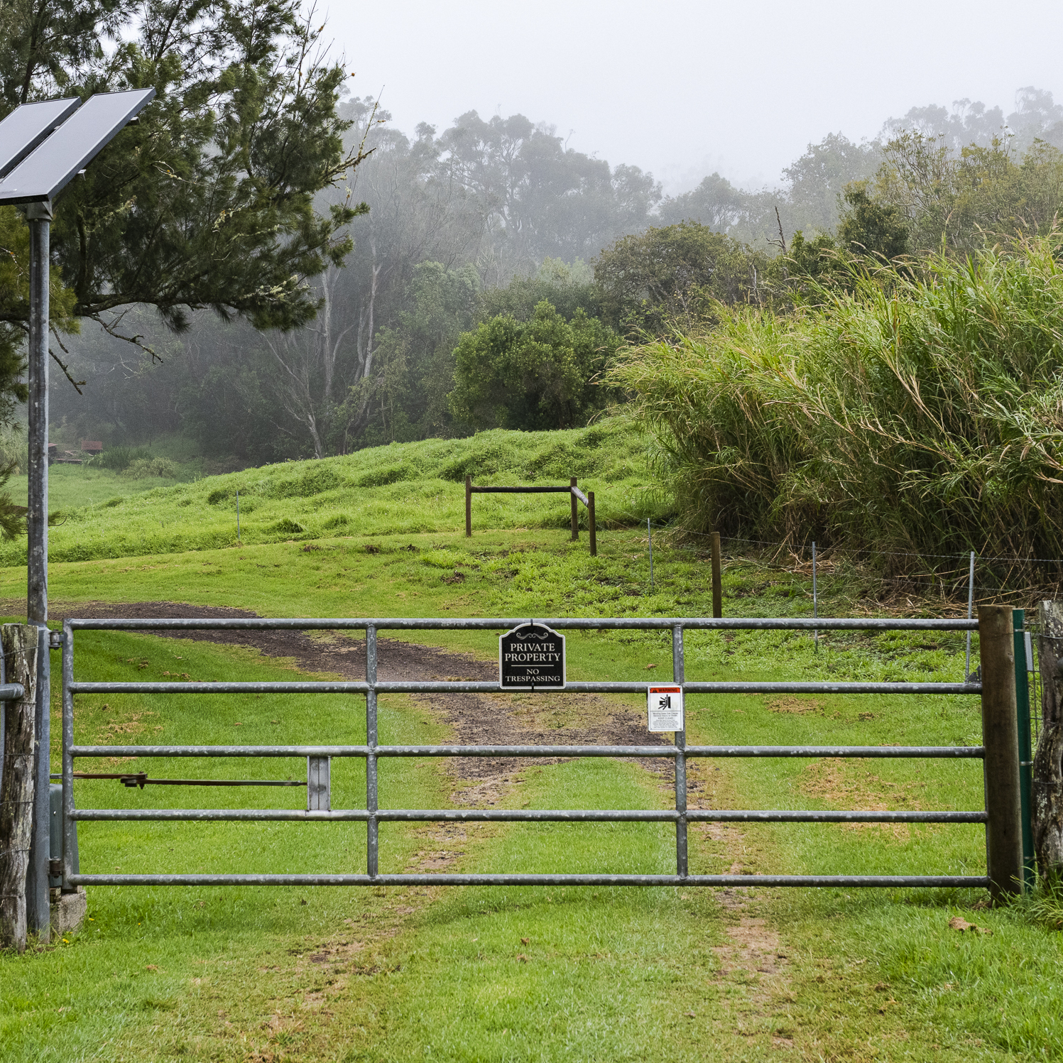 A tech billionaire is quietly buying up land in Hawaii. No one knows why - Vimarsana News