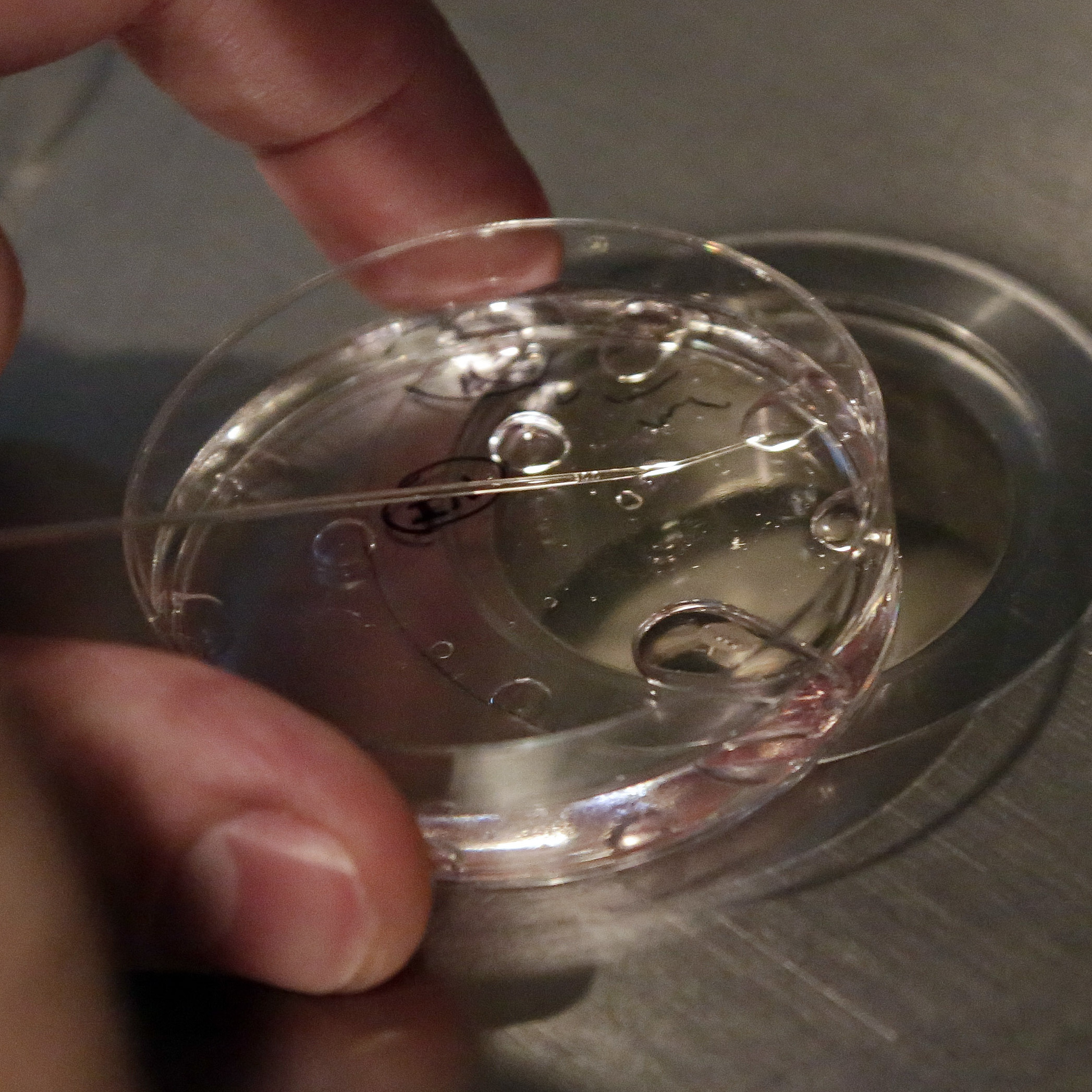 Alabama Governor Kay Ivey supports protections for IVF treatment - Vimarsana News