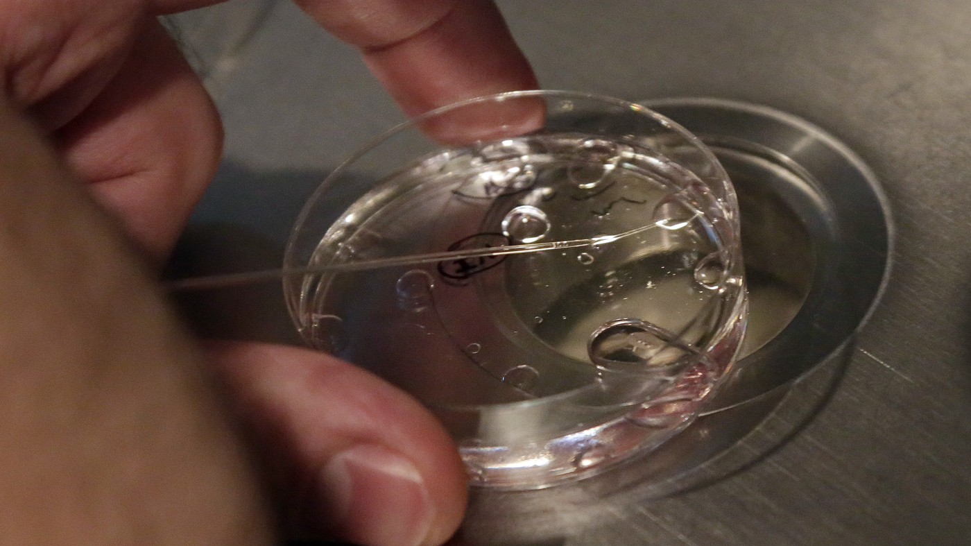 Alabama state lawmakers plan bill to protect IVF after court ruling : NPR - Vimarsana News