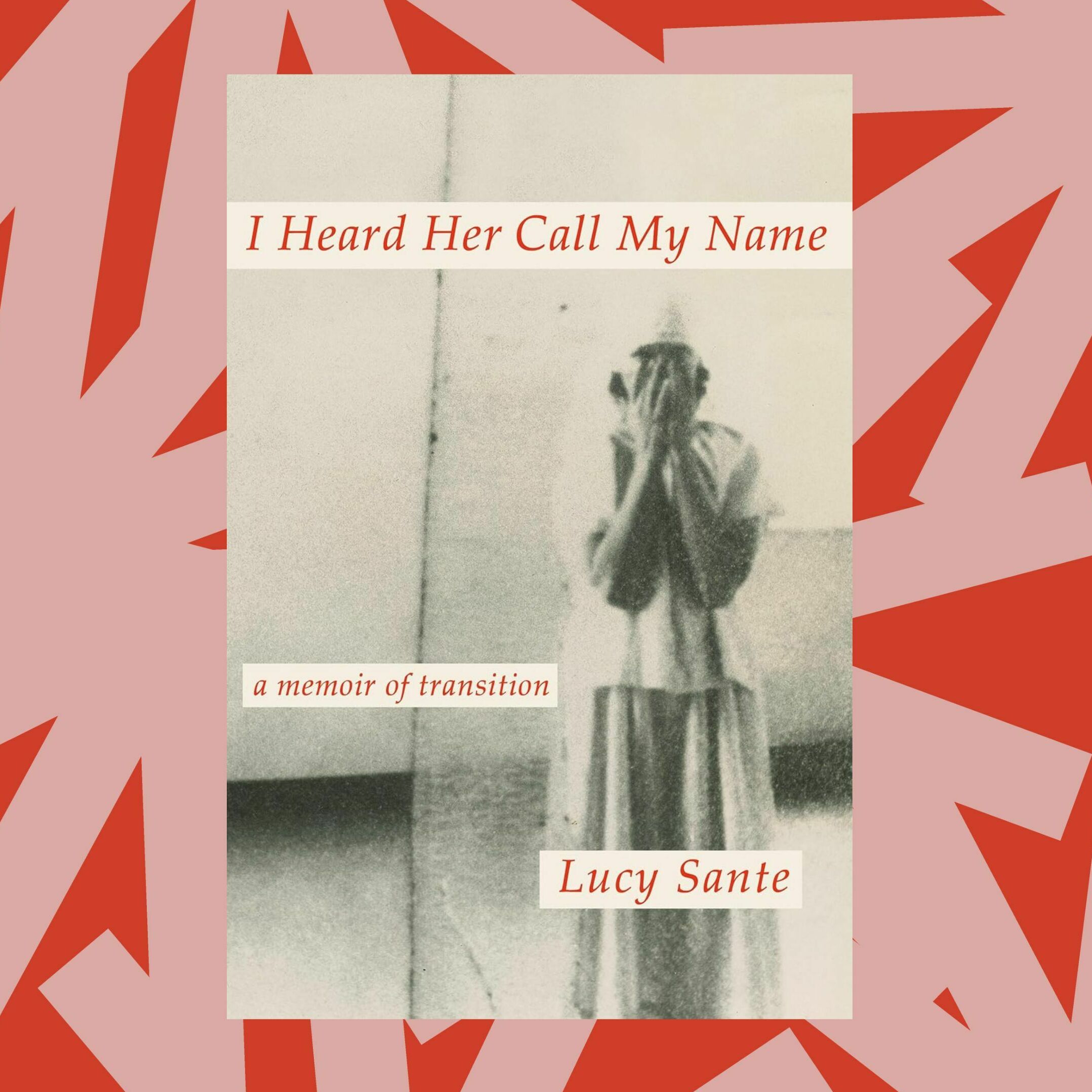 Lucy Sante's memoir reflects on her experience coming out as transgender in her 60s