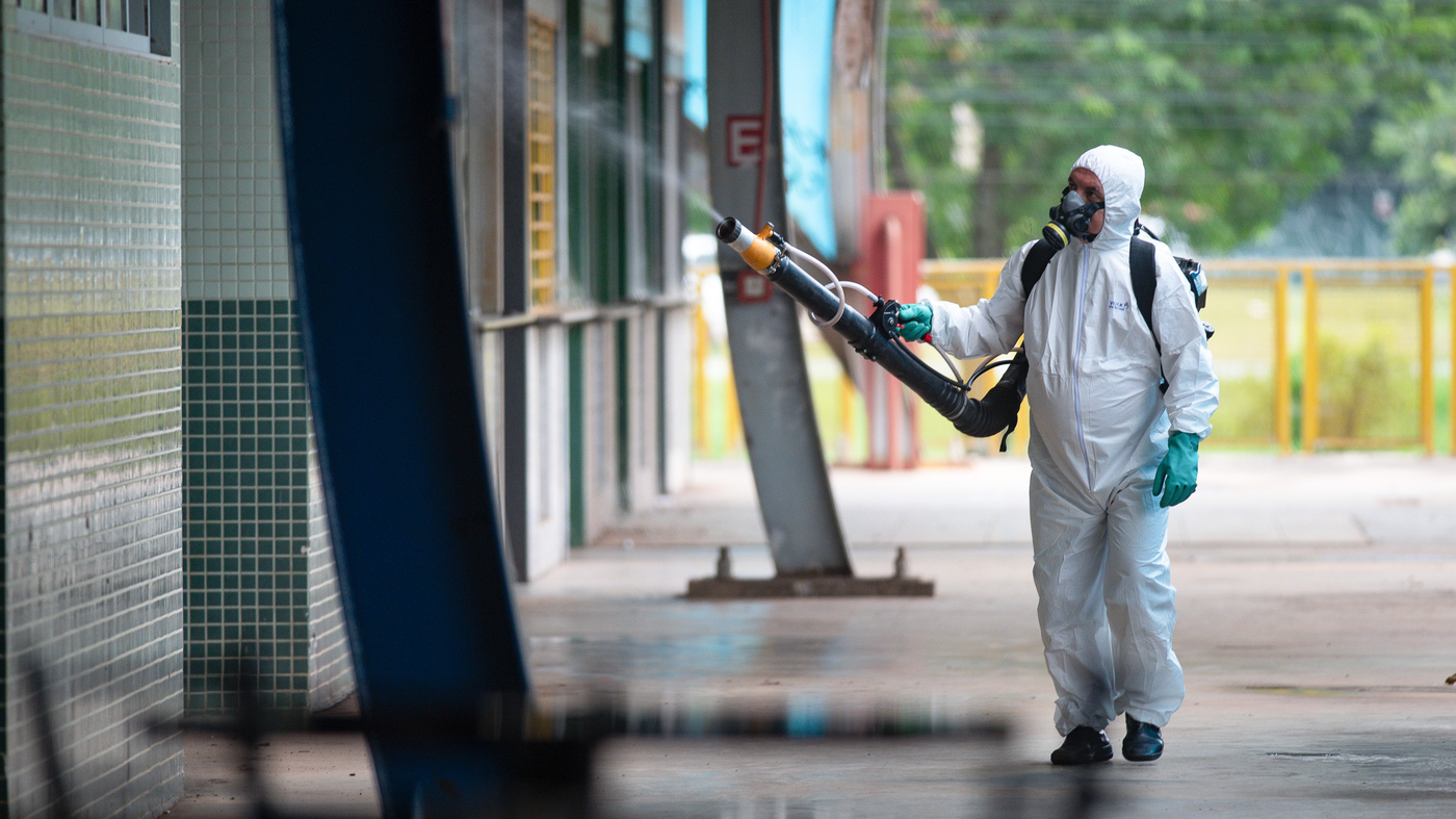 Brazil in state of emergency due to dengue fever: 1 million cases so ...