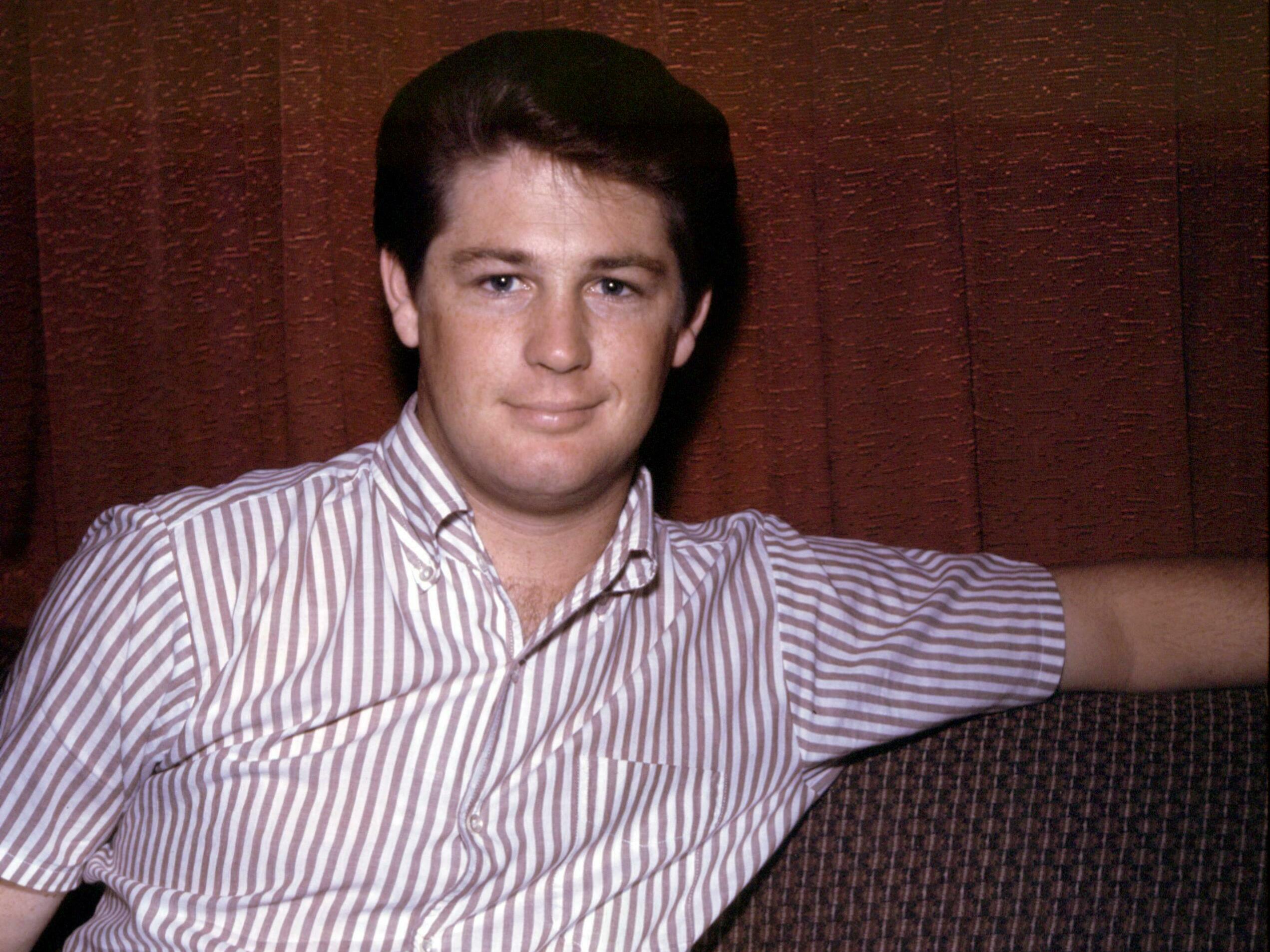 beach boys brian wilson (RARE SET!! 送料込） Classics Selected By Brian Wilson By The Beach Boys (2002-07-15