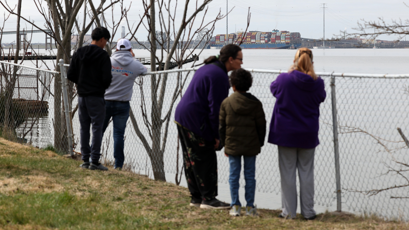 Conspiracy theorists seize on the Baltimore bridge collapse : NPR - Vimarsana News