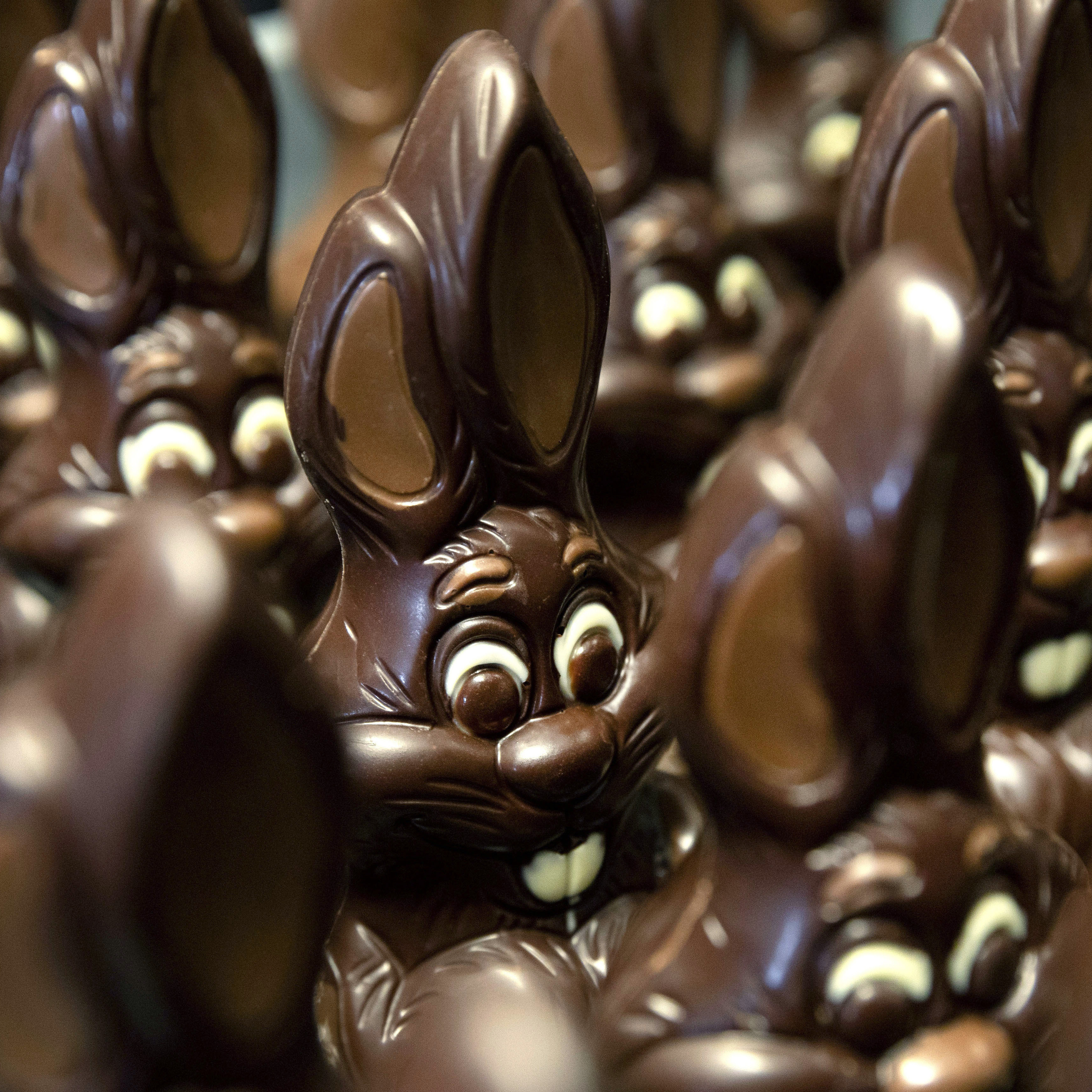 Pricier Easter bunnies and eggs. Half-dipped Kit Kats. What's up with chocolate? - Vimarsana News