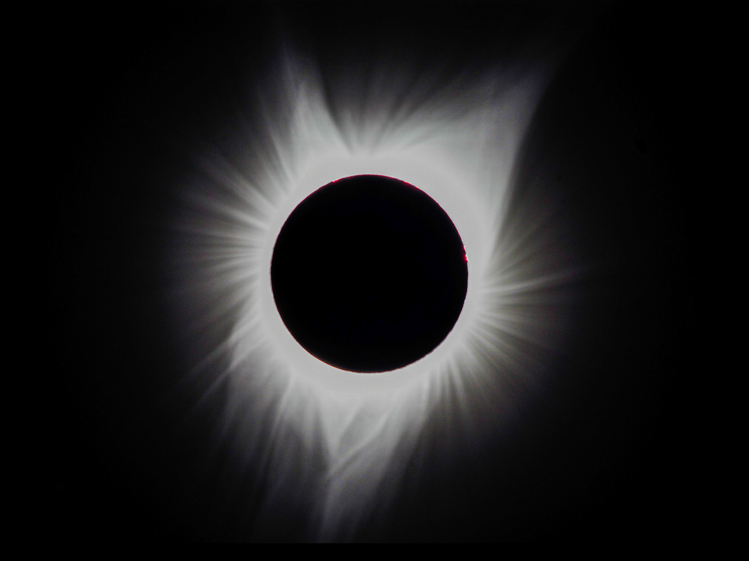 Simple Tips To Safely Photograph The Eclipse With Your Cellphone - Vimarsana News