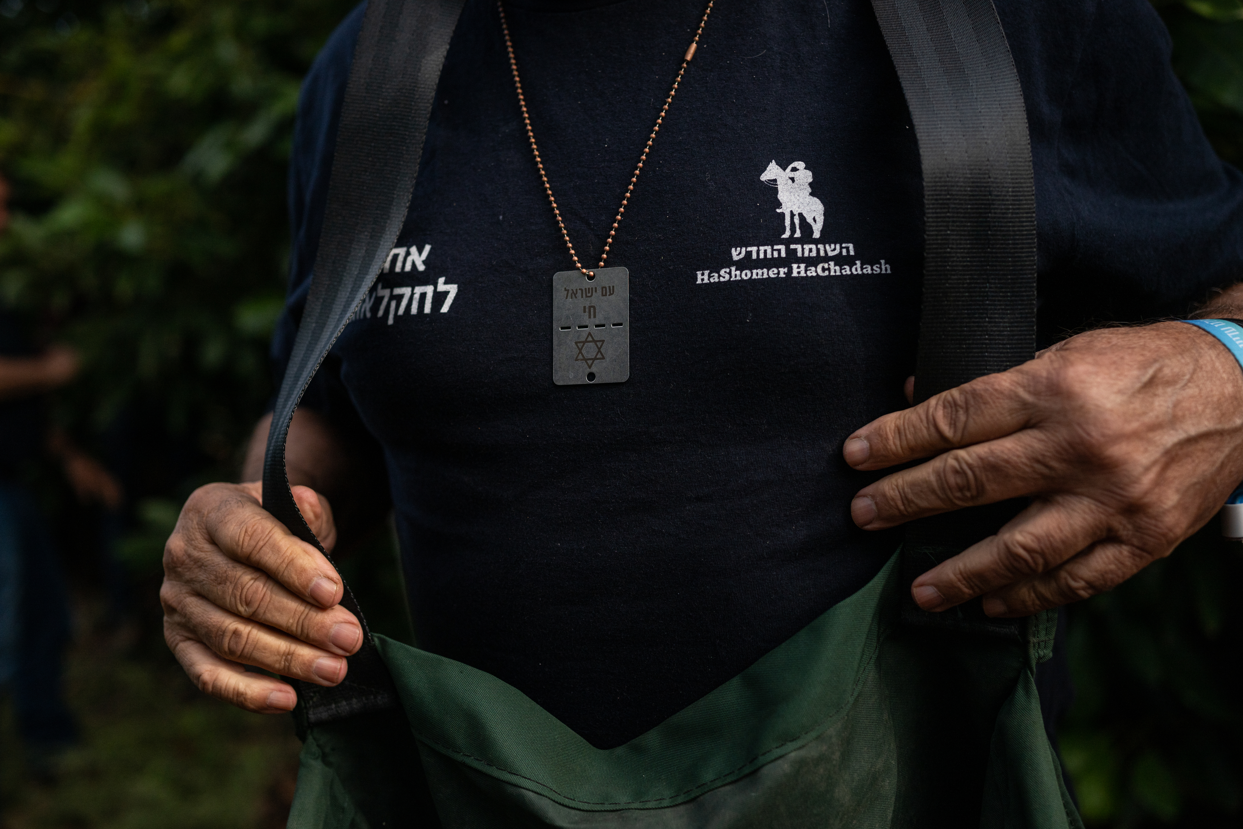 A volunteer wears a dog-tag style necklace with the Hebrew phrase "Am Yisrael Chai," which translates to "The People of Israel Live," while picking avocados on a farm near the border with Gaza in southern Israel on Dec. 20, 2023.