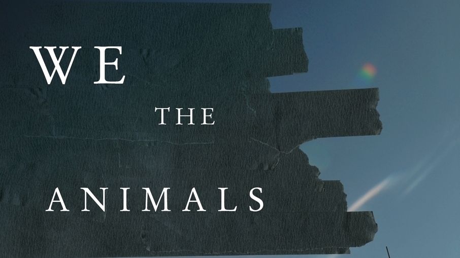 we-the-animals-cover_wide-05430199a191d7