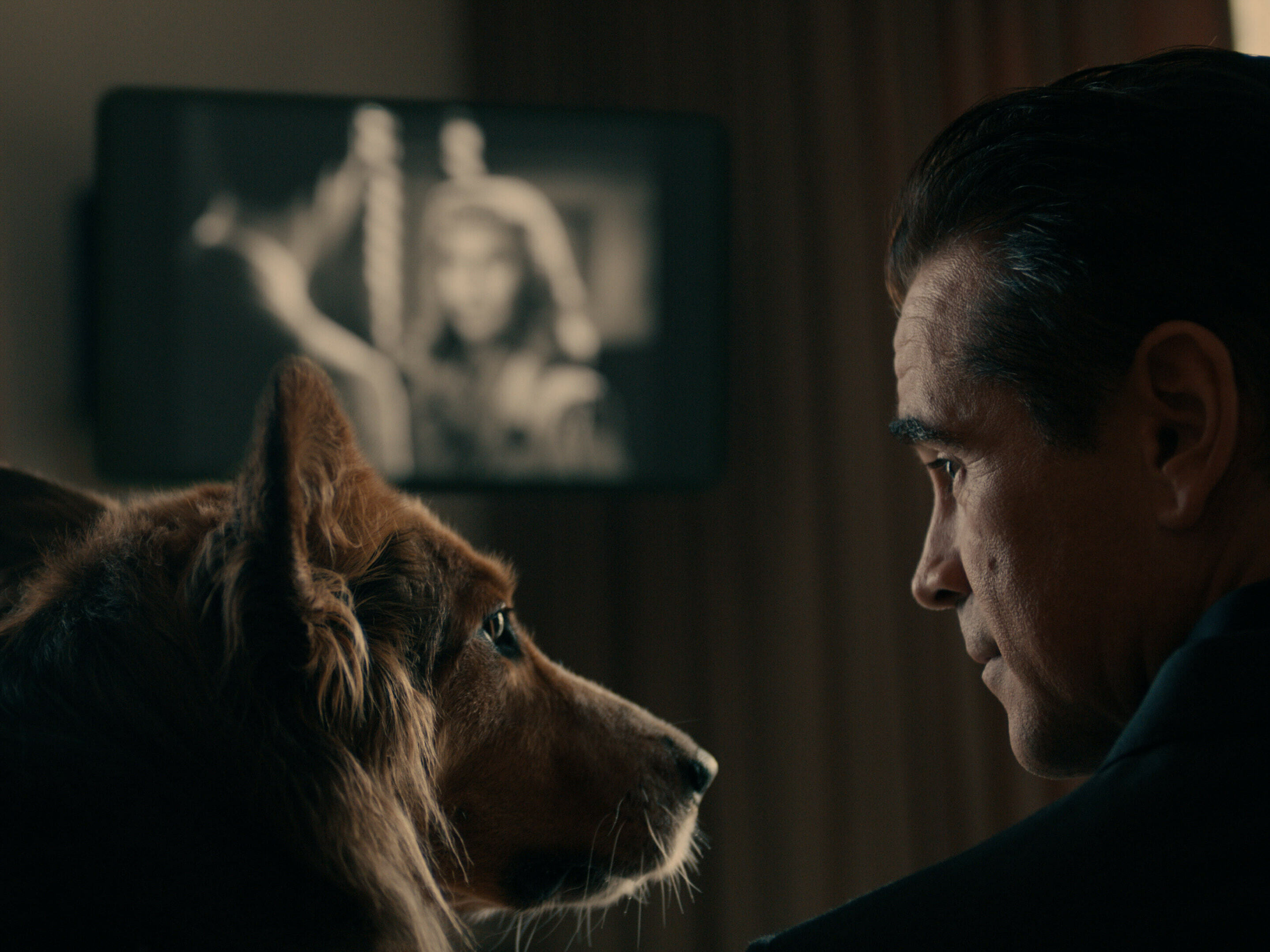 Colin Farrell unravels mystery of the missing woman and himself in neo-noir 'Sugar' 1 Colin Farrell teaches his new furry friend Wiley about the classics in Sugar.