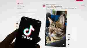 House approves sell-or-be-banned TikTok measure, attaching it to foreign aid bill
