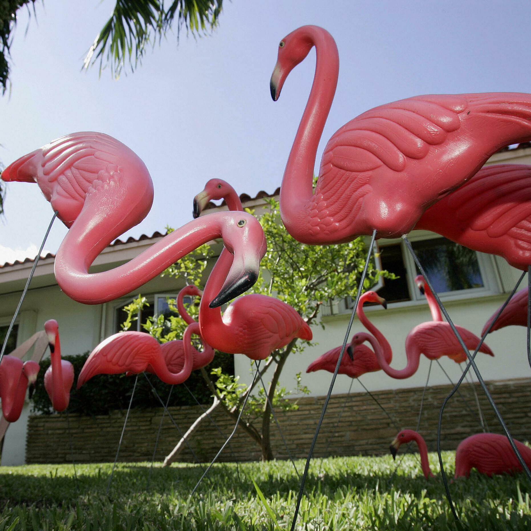 Garden gnomes and porch swings: Lively front yards linked to more connected residents - Vimarsana News