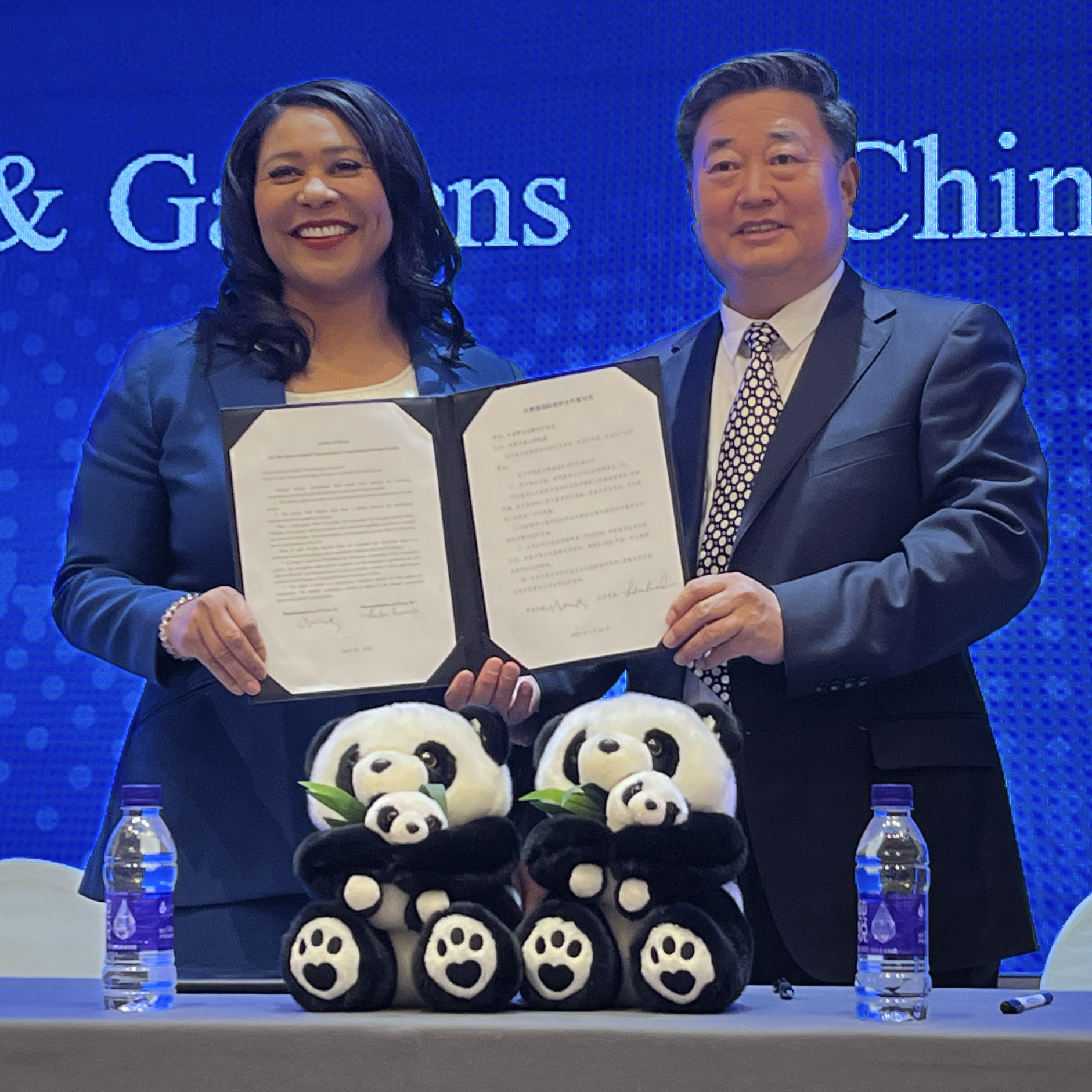 The San Francisco Zoo will receive a pair of pandas from China - Vimarsana News