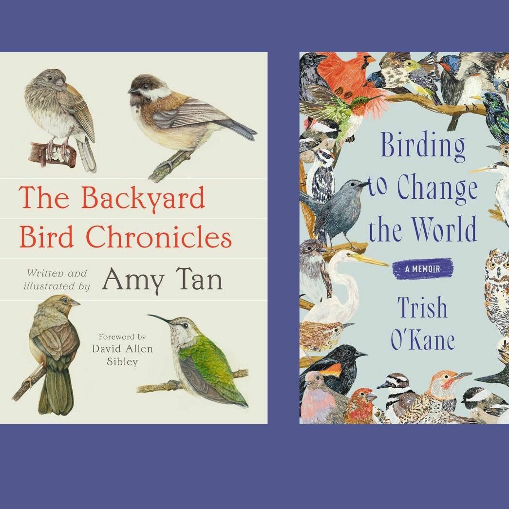 Looking for new ways to appreciate nature? 2 new birding books may help - Vimarsana News