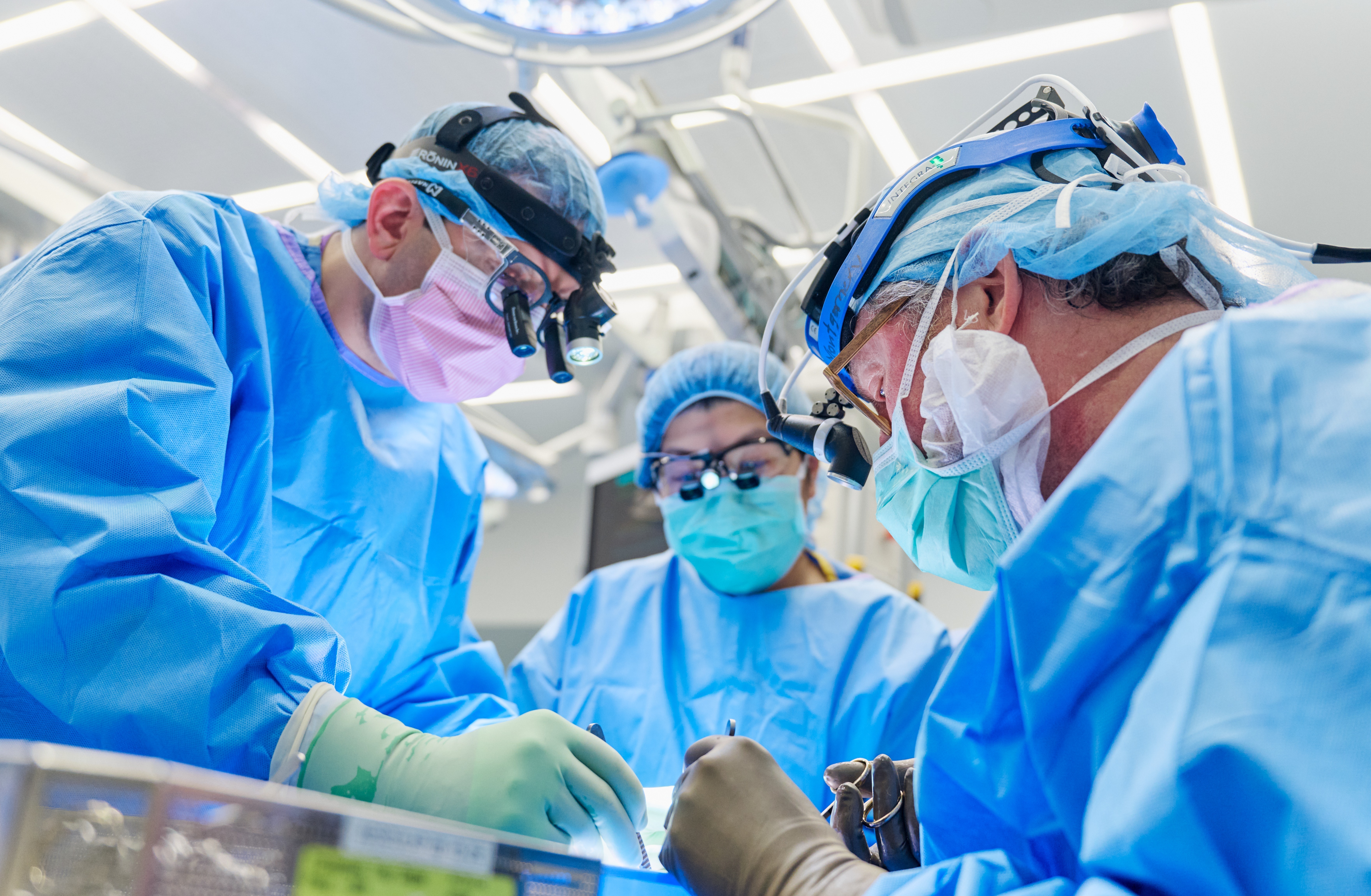 A woman with failing kidneys receives genetically modified pig organs - Vimarsana News