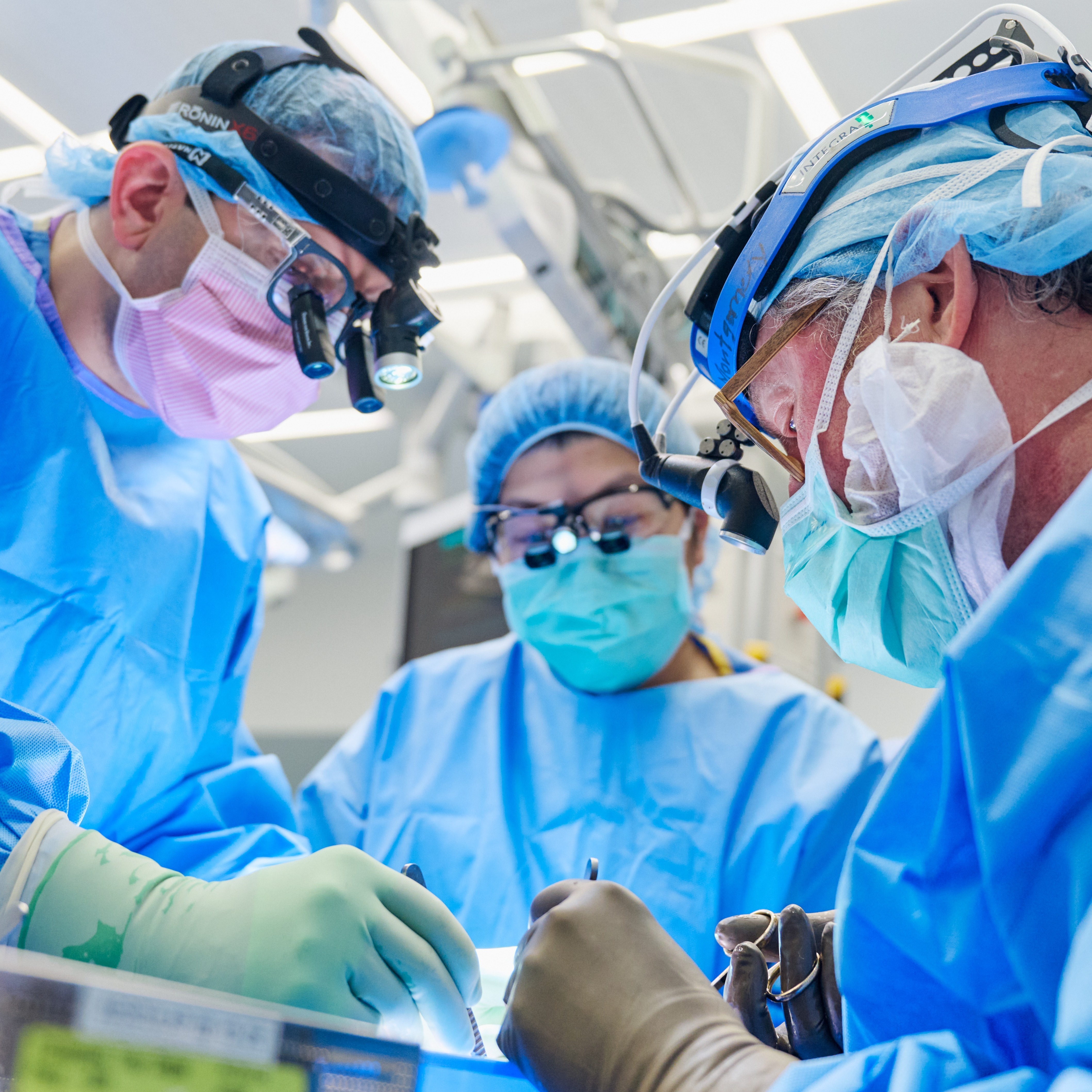 A woman with failing kidneys receives genetically modified pig organs - Vimarsana News