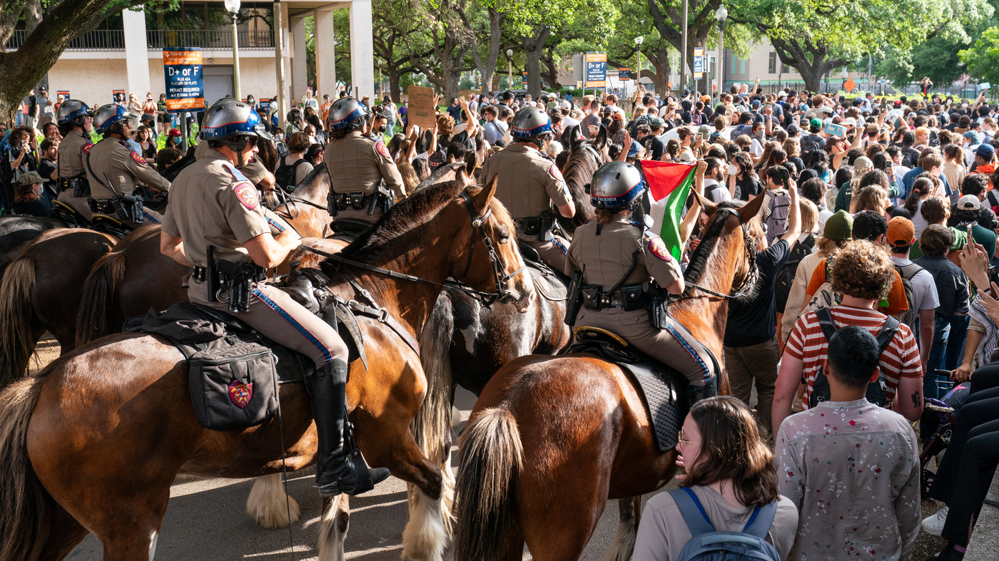 Pro-Palestinian protesters arrested at USC, UT-Austin, Emerson College : NPR - Vimarsana News