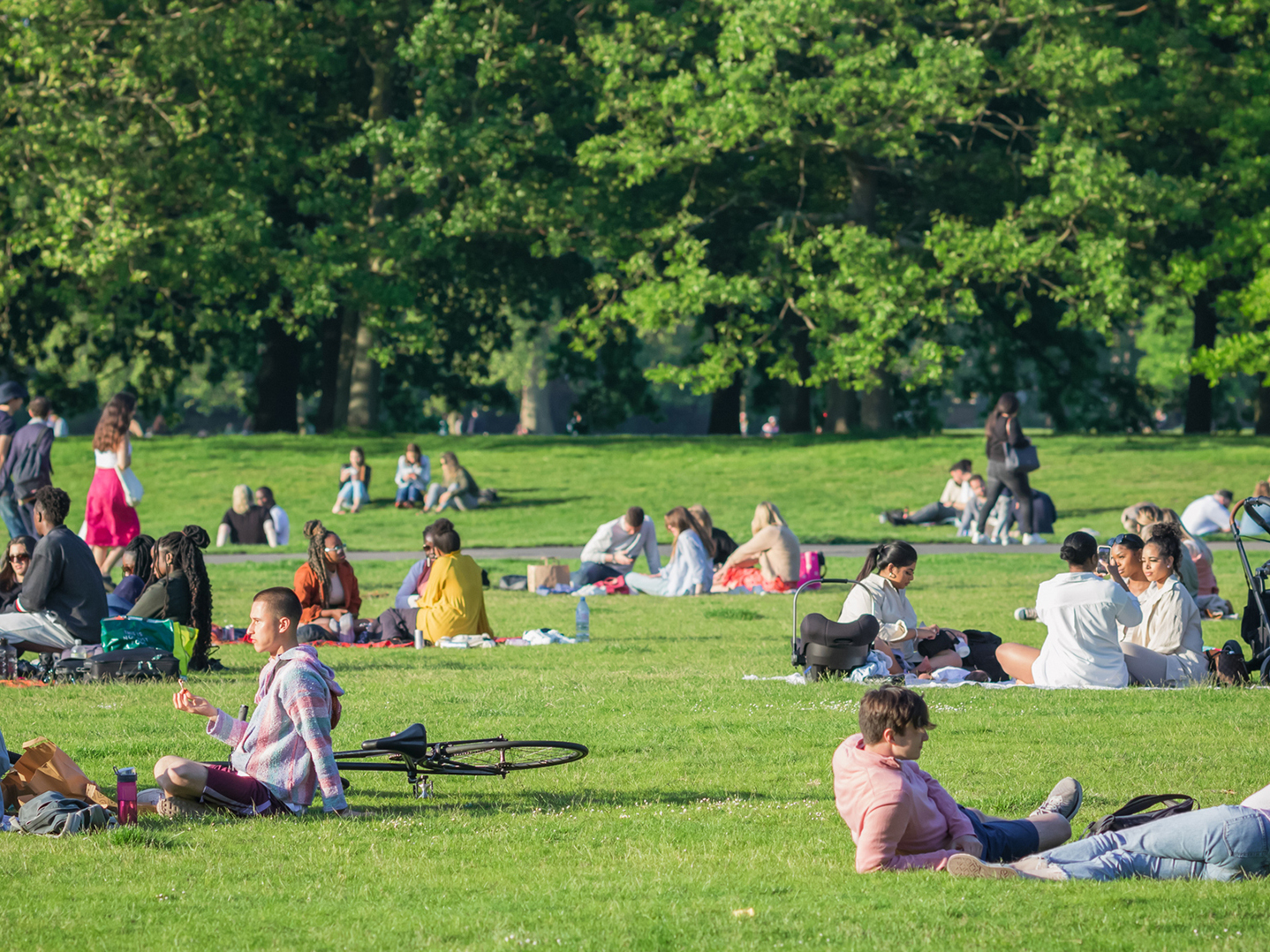 Building public spaces that actually serve the public | NCPR News