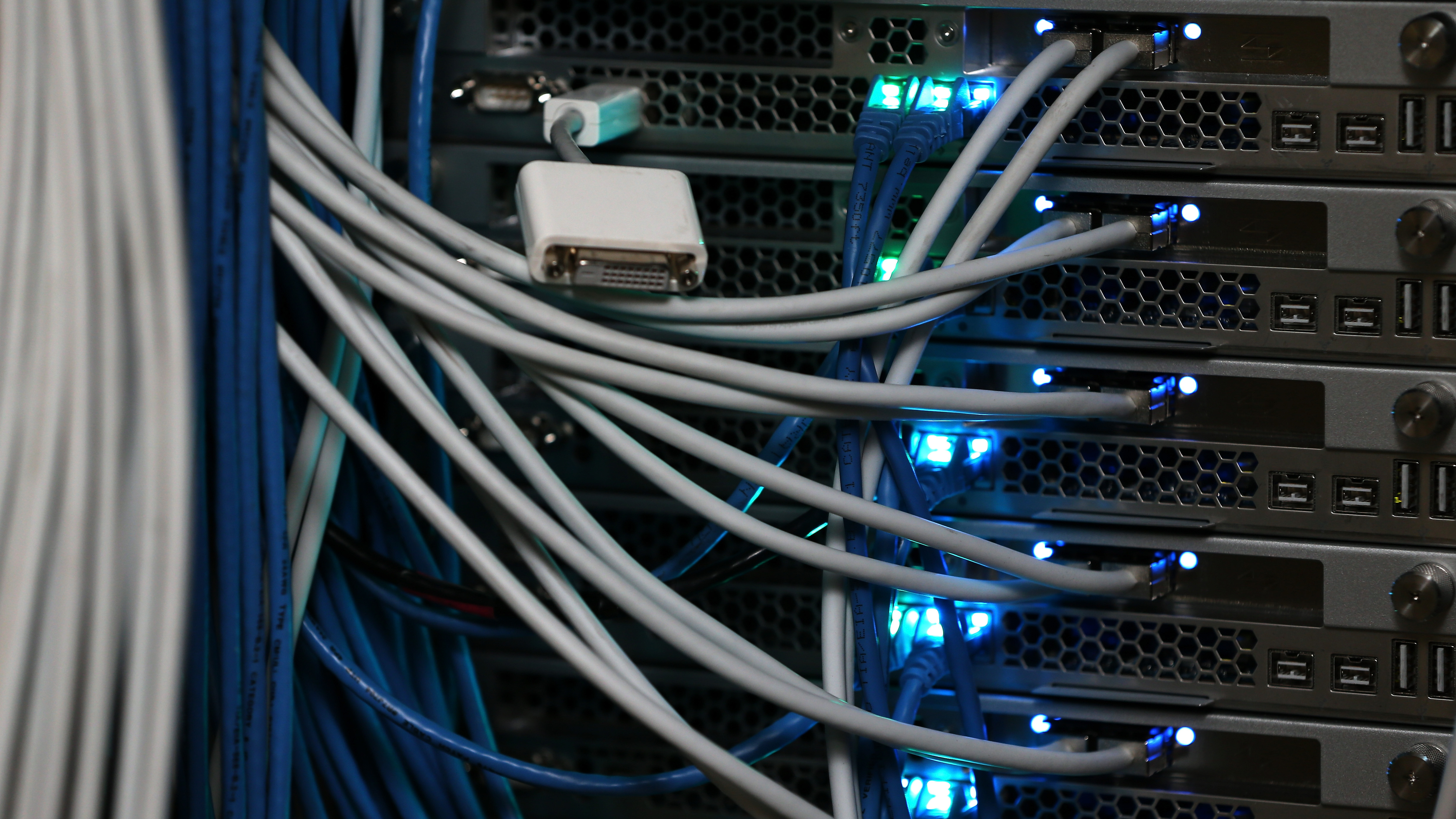 Net neutrality is back: U.S. promises fast, safe and reliable internet for all - Vimarsana News
