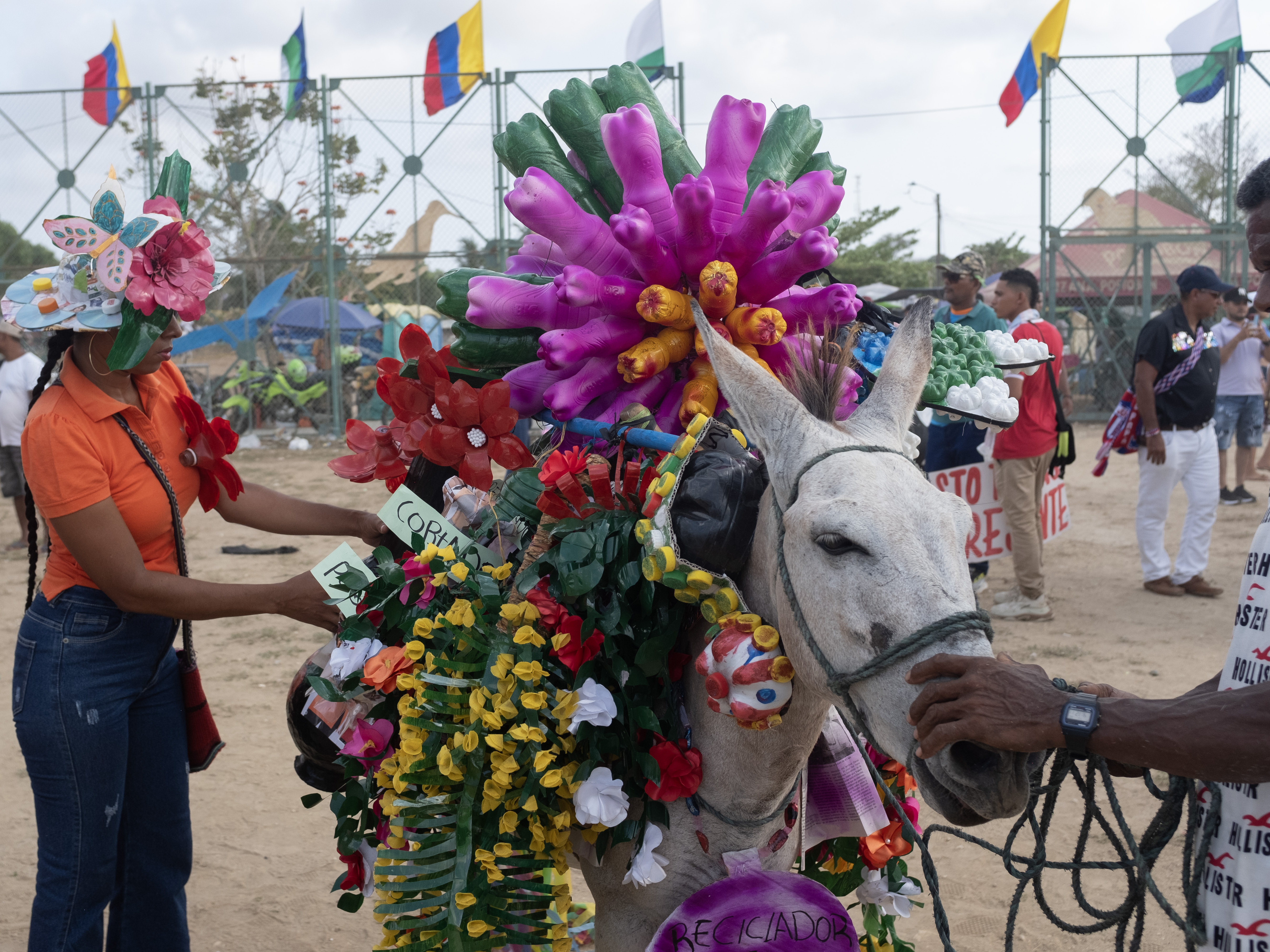 Donkeys take center stage at an annual festival in Colombia - Vimarsana News