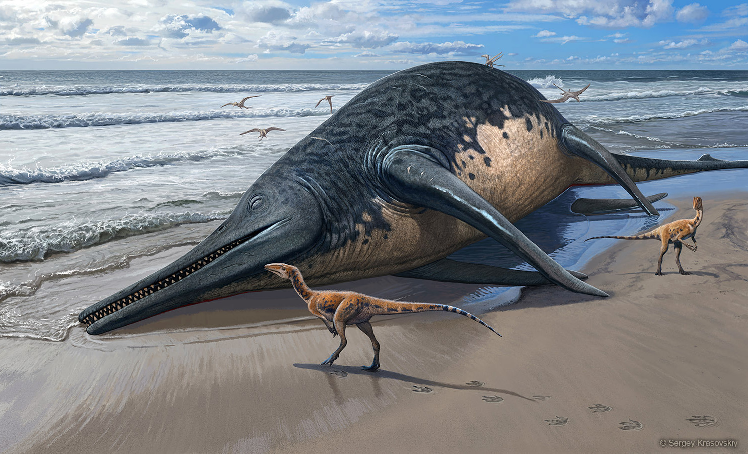 This illustration depicts a washed-up Ichthyotitan severnensis carcass on the beach.