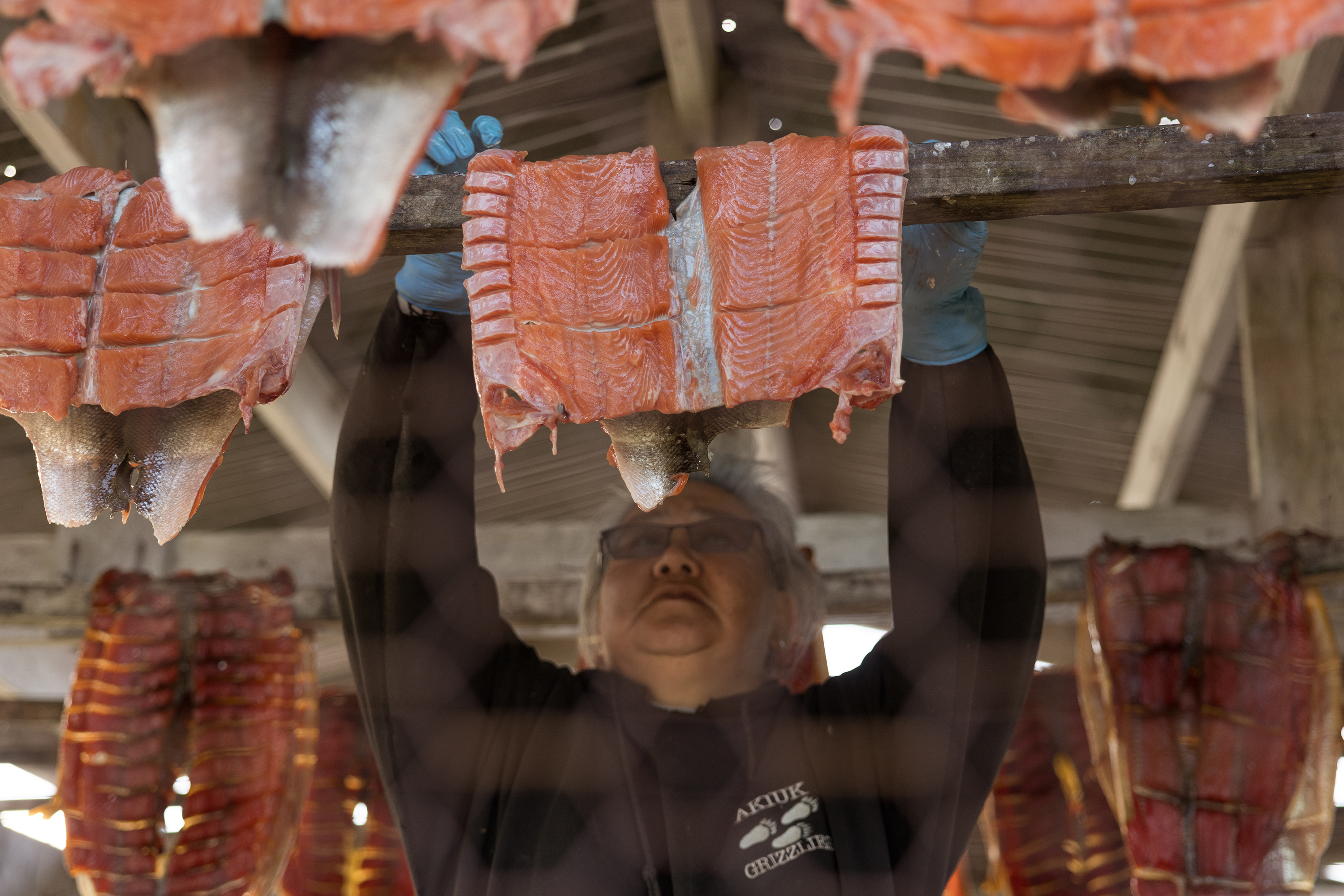 Bertha Twitchell tends to salmon drying at her family's fish camp near Kasigluk. The Twitchells are Yup'ik, and maintaining their subsistence lifestyle is imperative as they consider where they might move. In the nearby town of Bethel, "it's still easy to go out and just go fishing and hunting," Wilson said. "In Anchorage, you have to drive miles and miles before you get to do that."