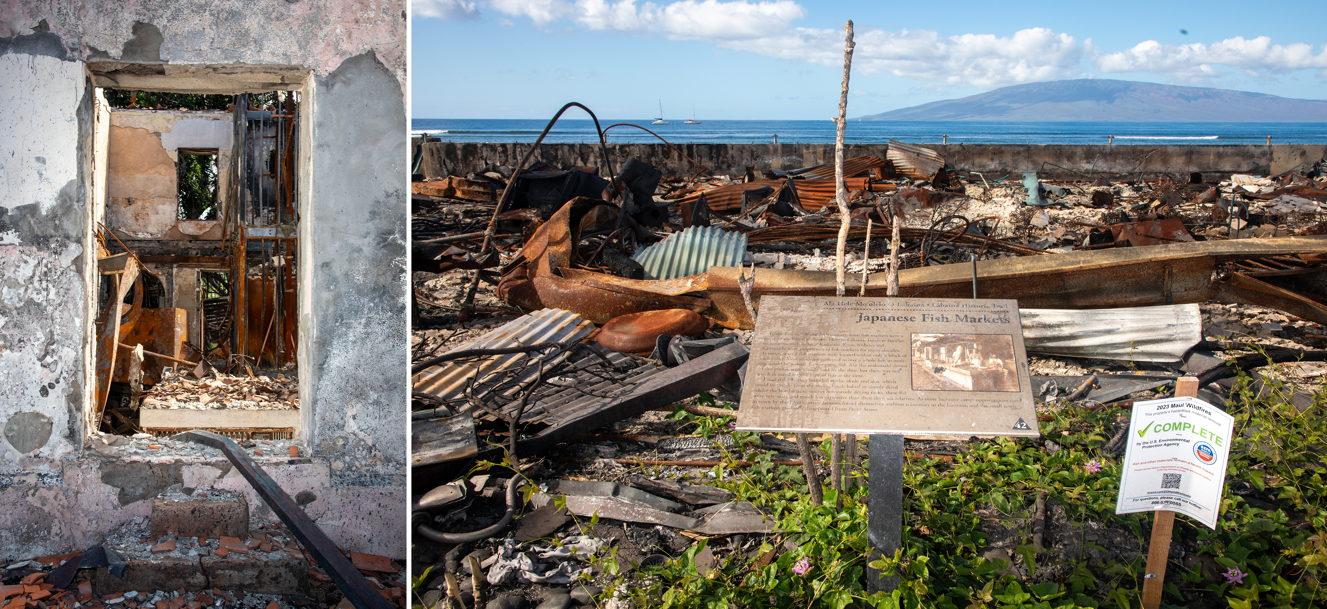 Did Maui fires hurt coral reefs? Scientists try to find answers : NPR
