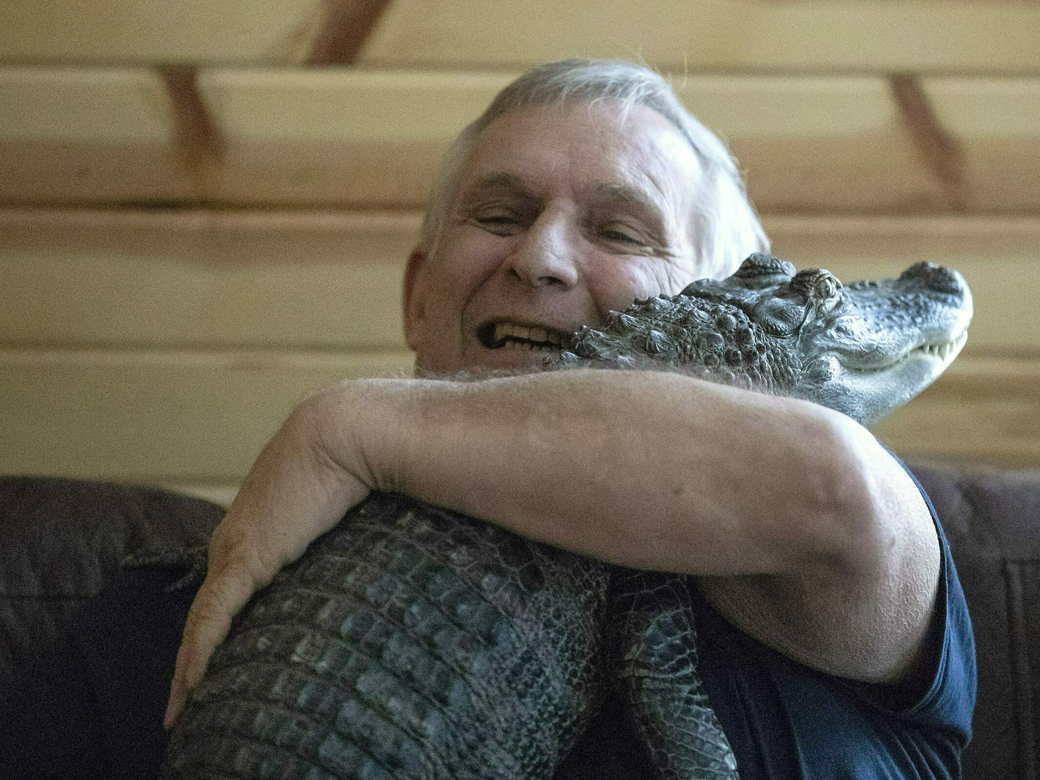 Have you seen this emotional support gator? Wally's owner says he's lost in Georgia - Vimarsana News